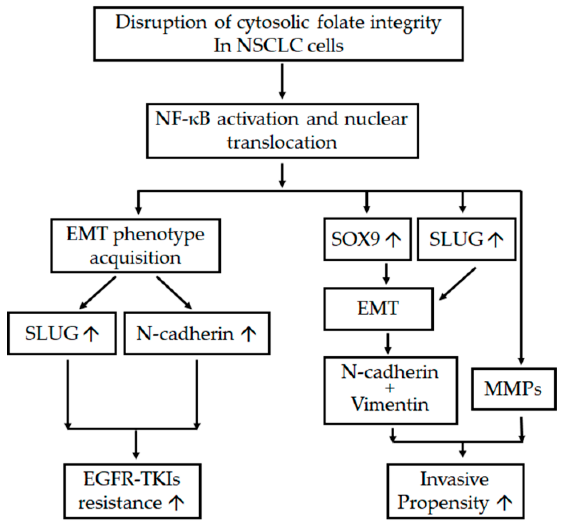 Ijms 22 08838 g007 550