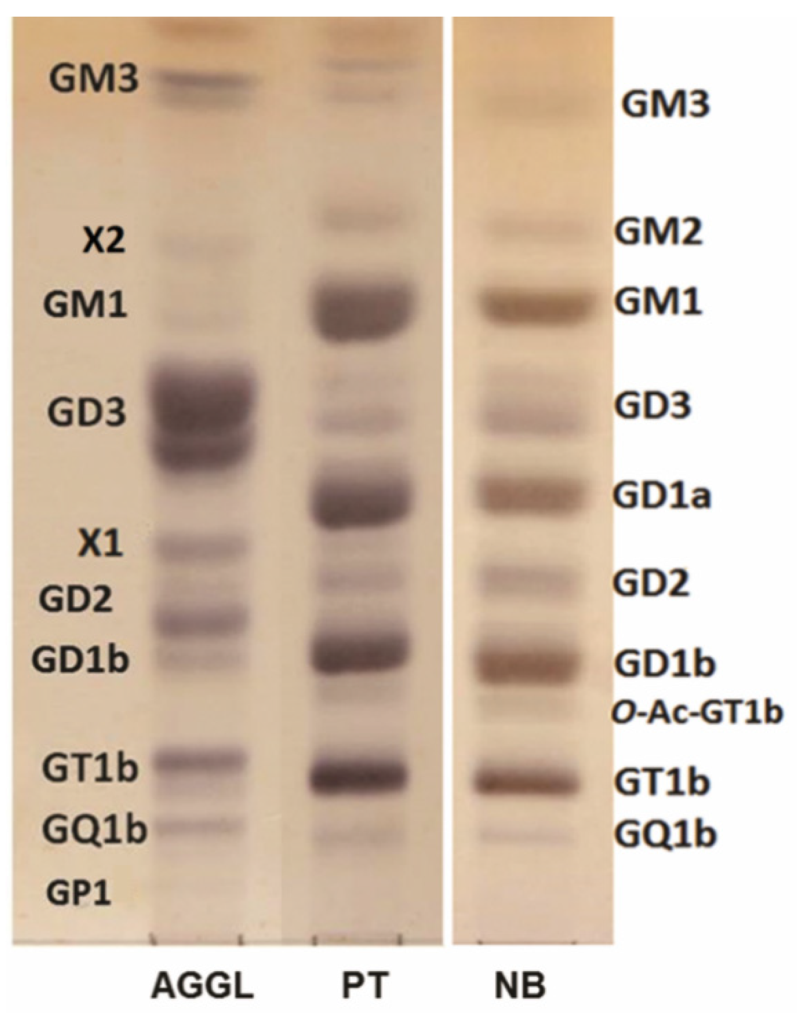 Ijms 22 08844 g001 Ijms 22 08844 g001