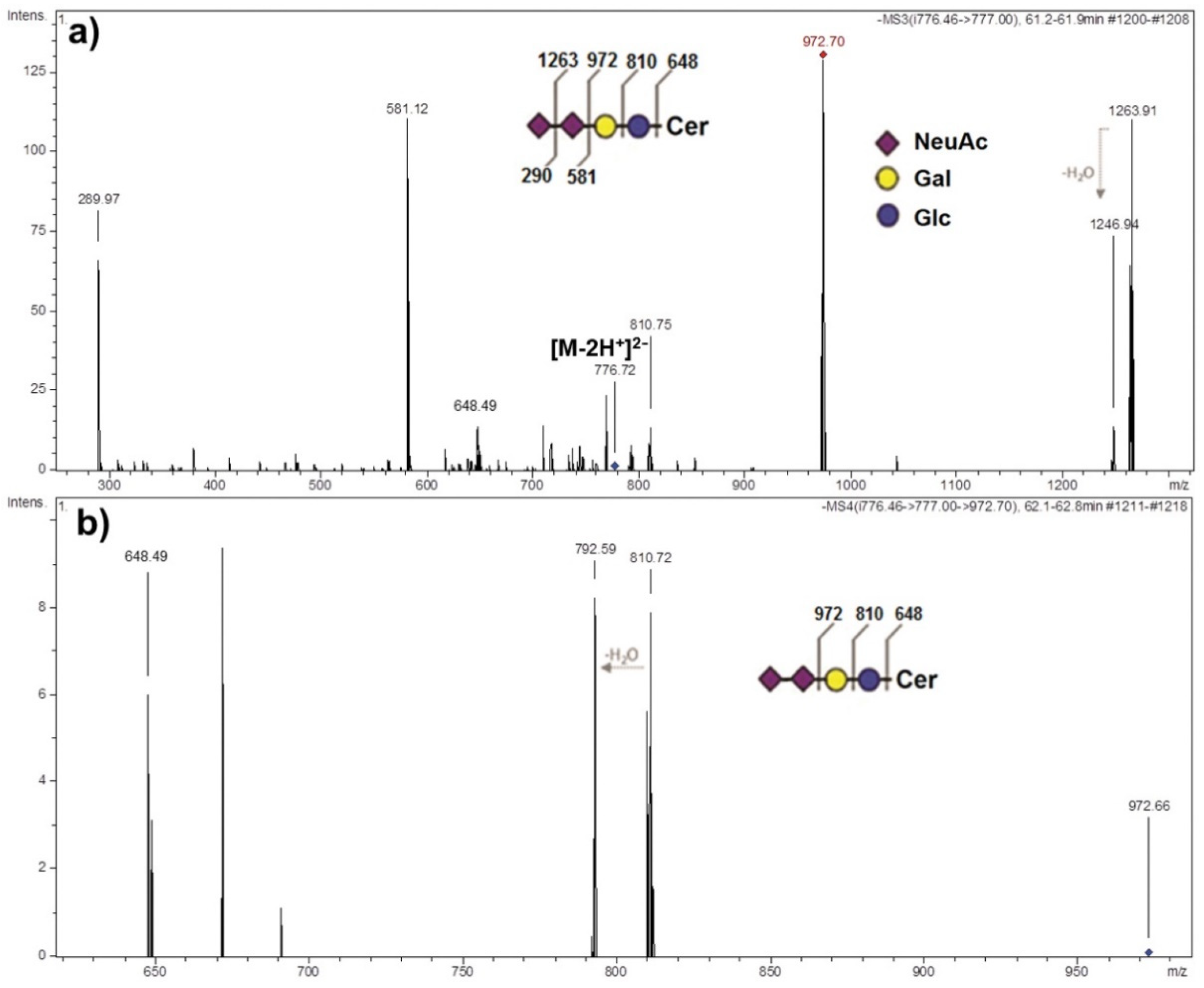 Ijms 22 08844 g003 Ijms 22 08844 g003