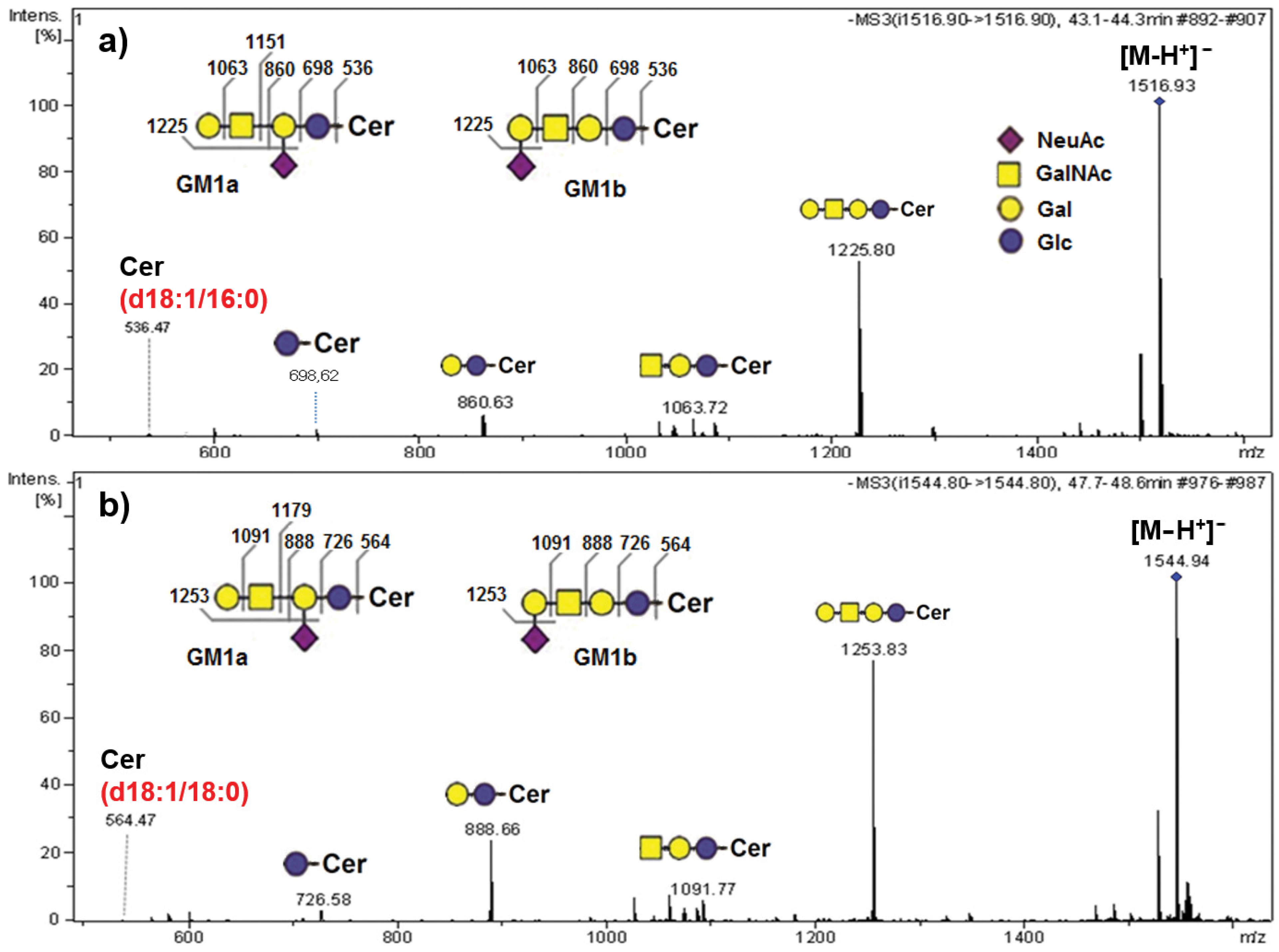 Ijms 22 08844 g004 Ijms 22 08844 g004
