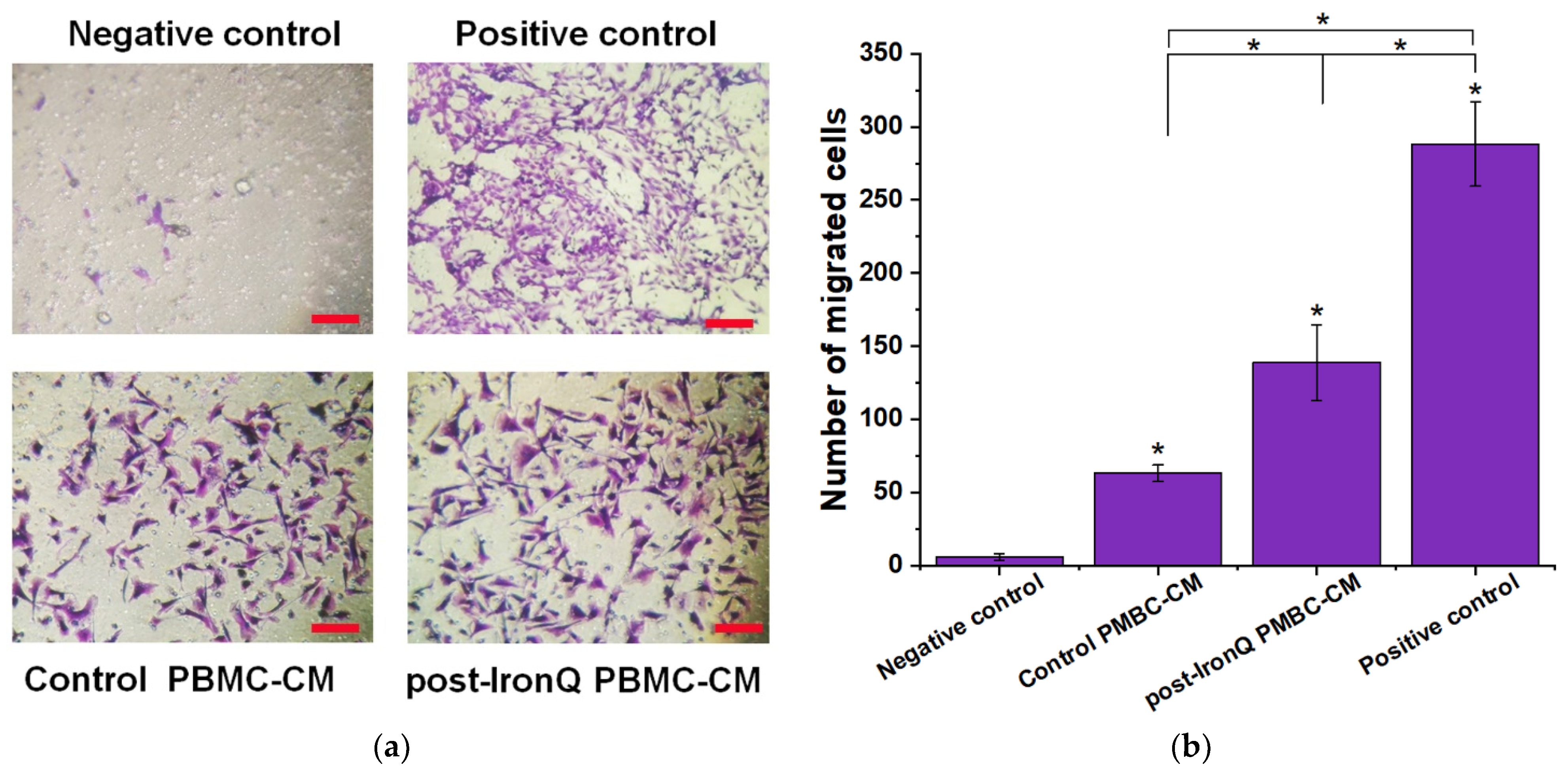 Ijms 22 08851 g005 550