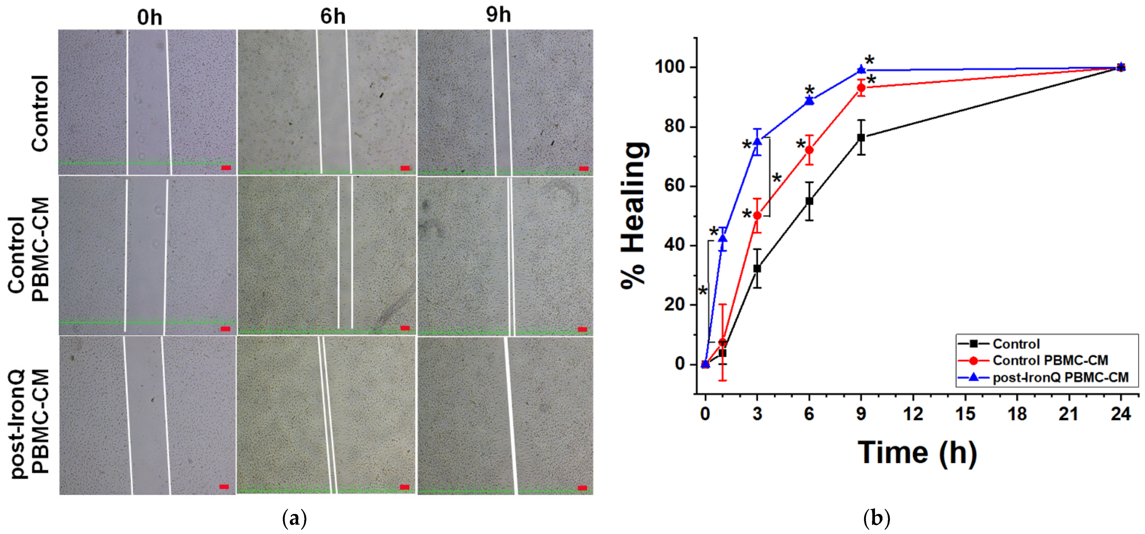 Ijms 22 08851 g006 550