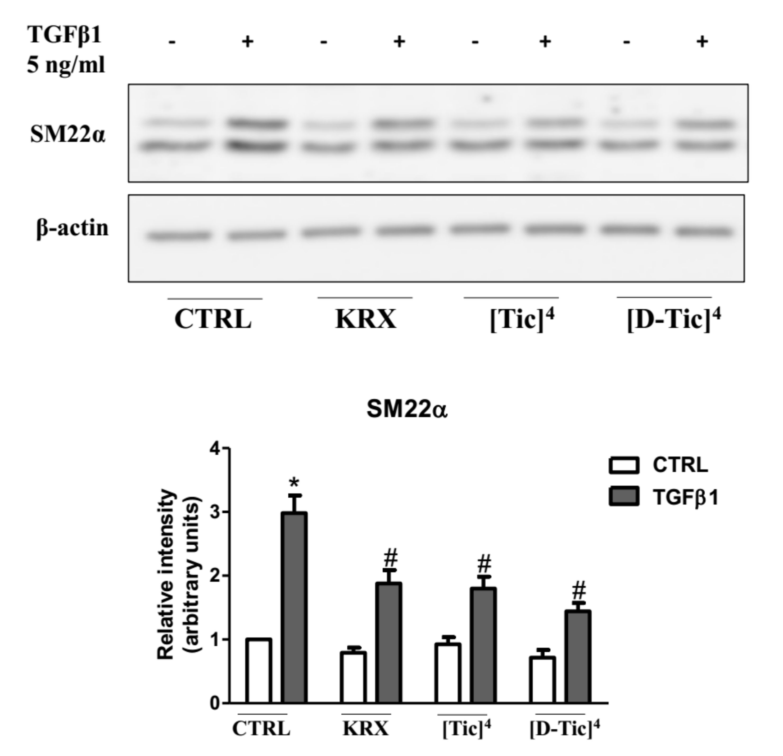 Ijms 22 08861 g005 550