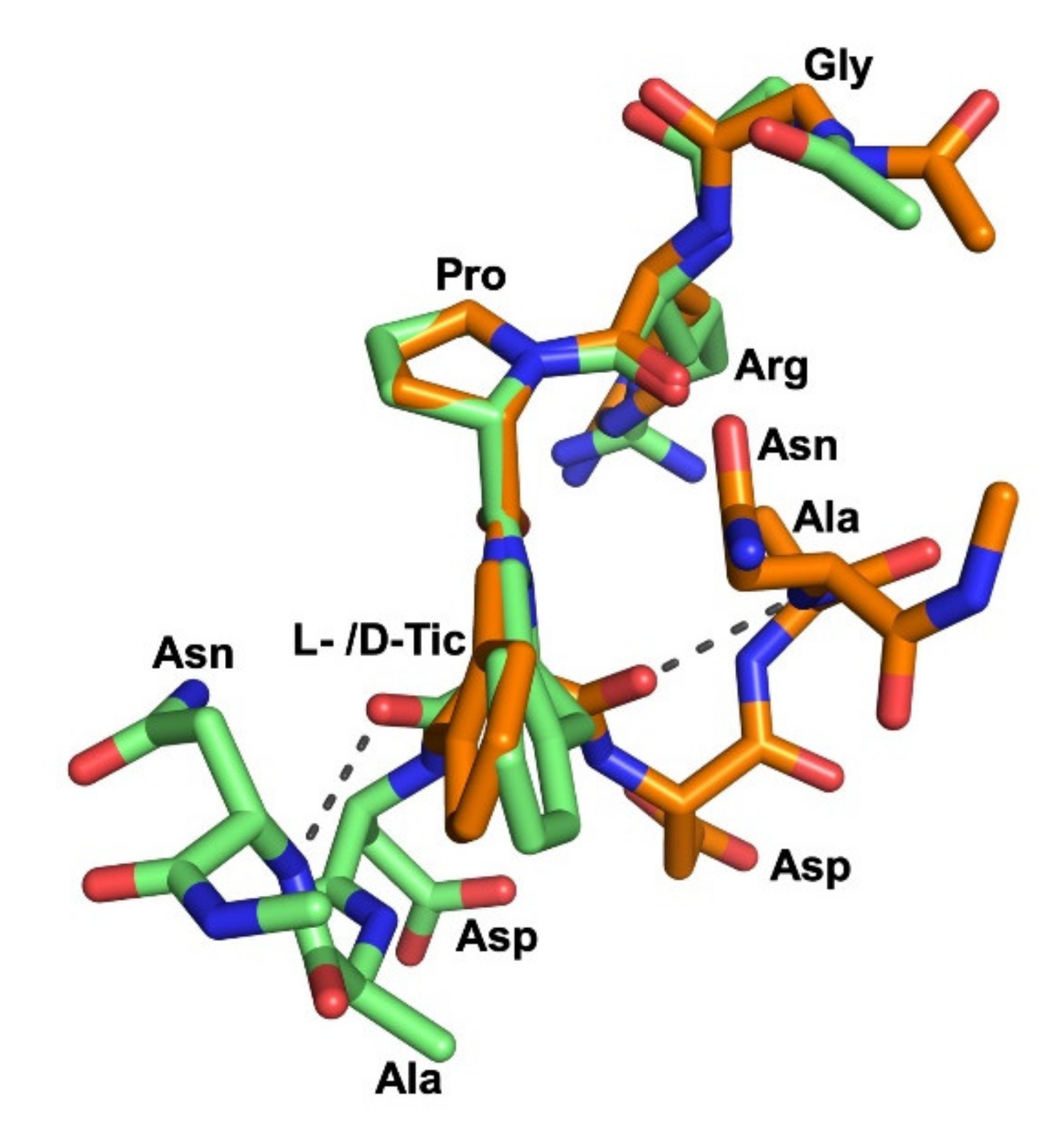 Ijms 22 08861 g008 550