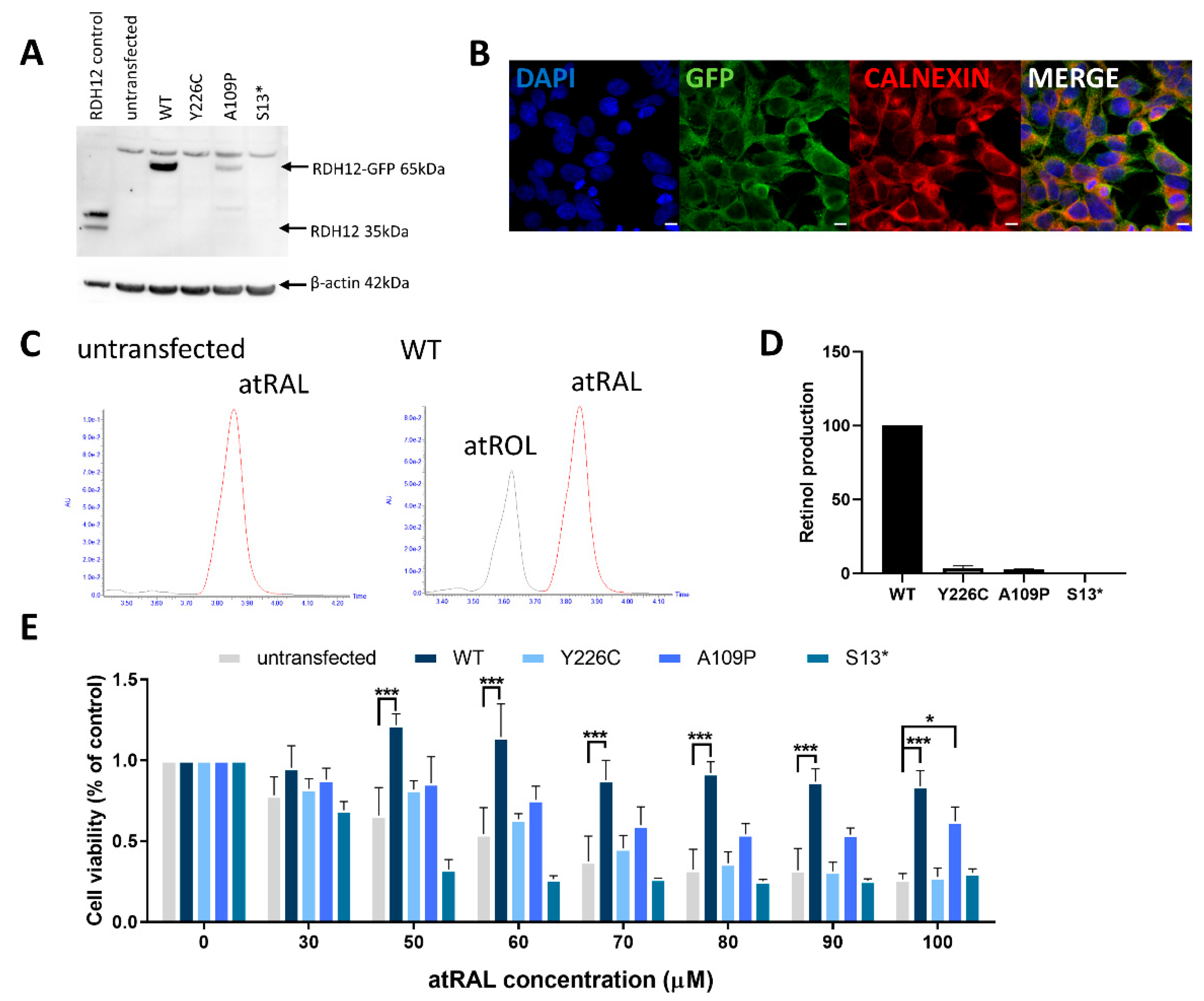 Ijms 22 08863 g001 550