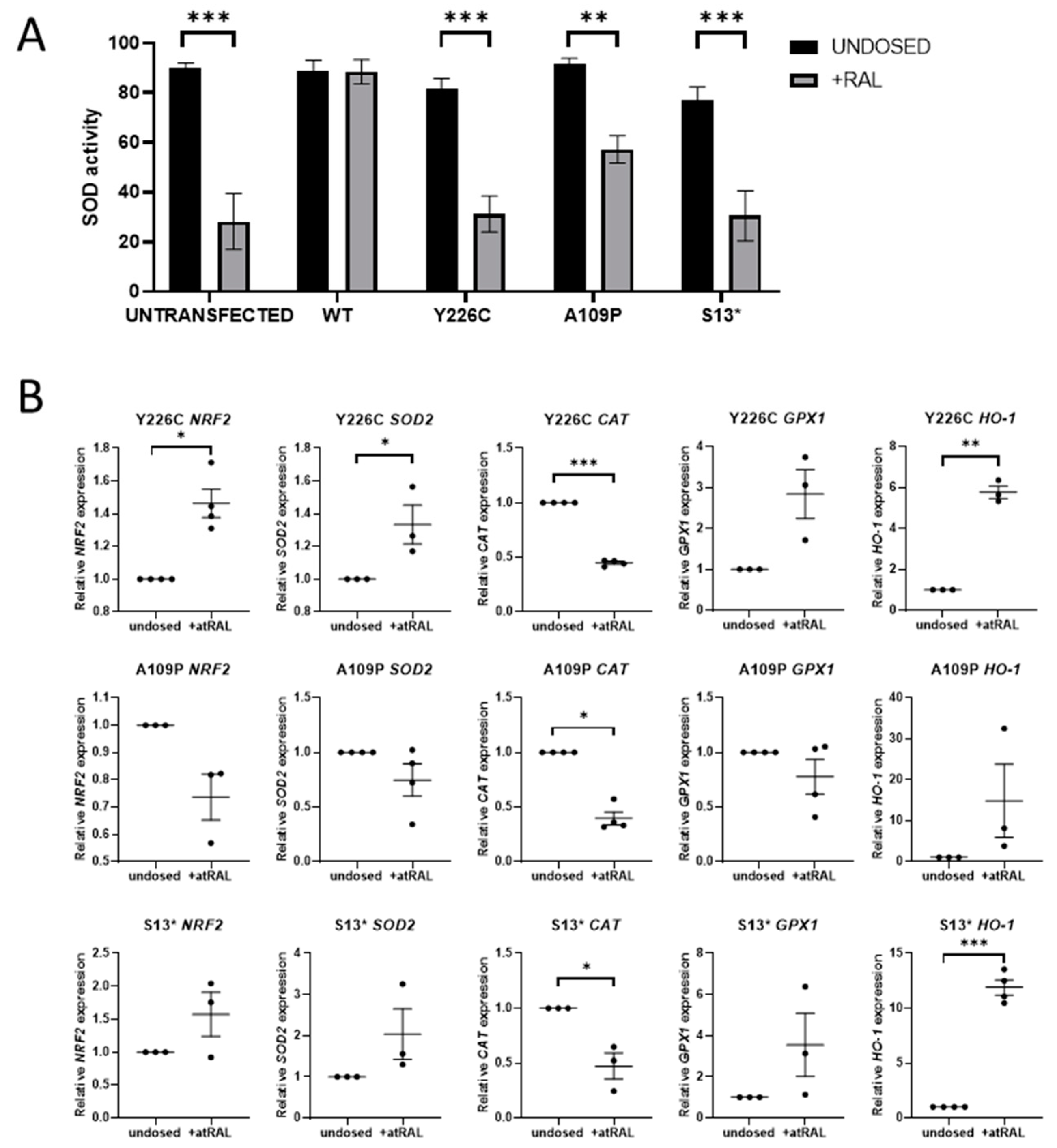 Ijms 22 08863 g002 550