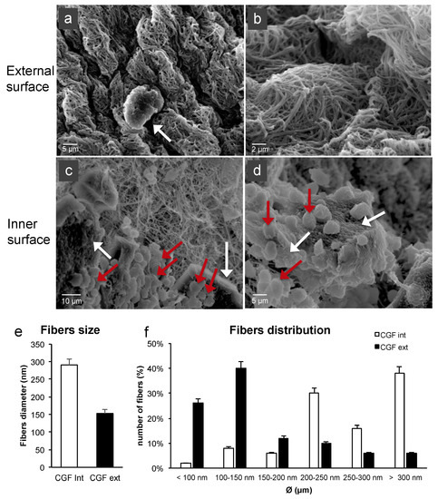 Ijms 22 08867 g002 550