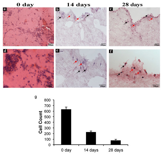 Ijms 22 08867 g003 550