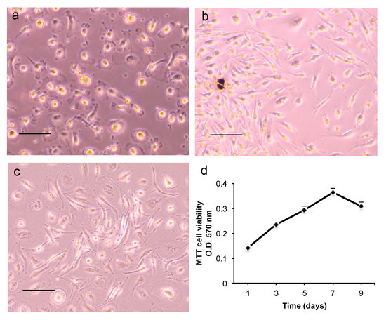 Ijms 22 08867 g005 550