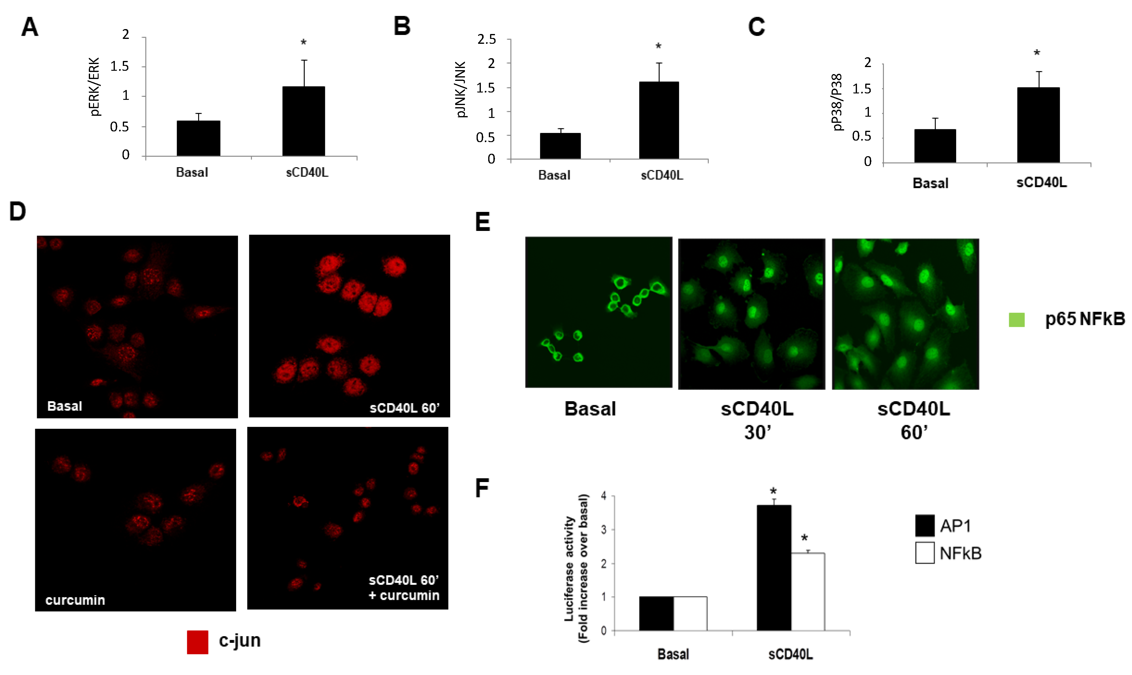 Ijms 22 08871 g002 550