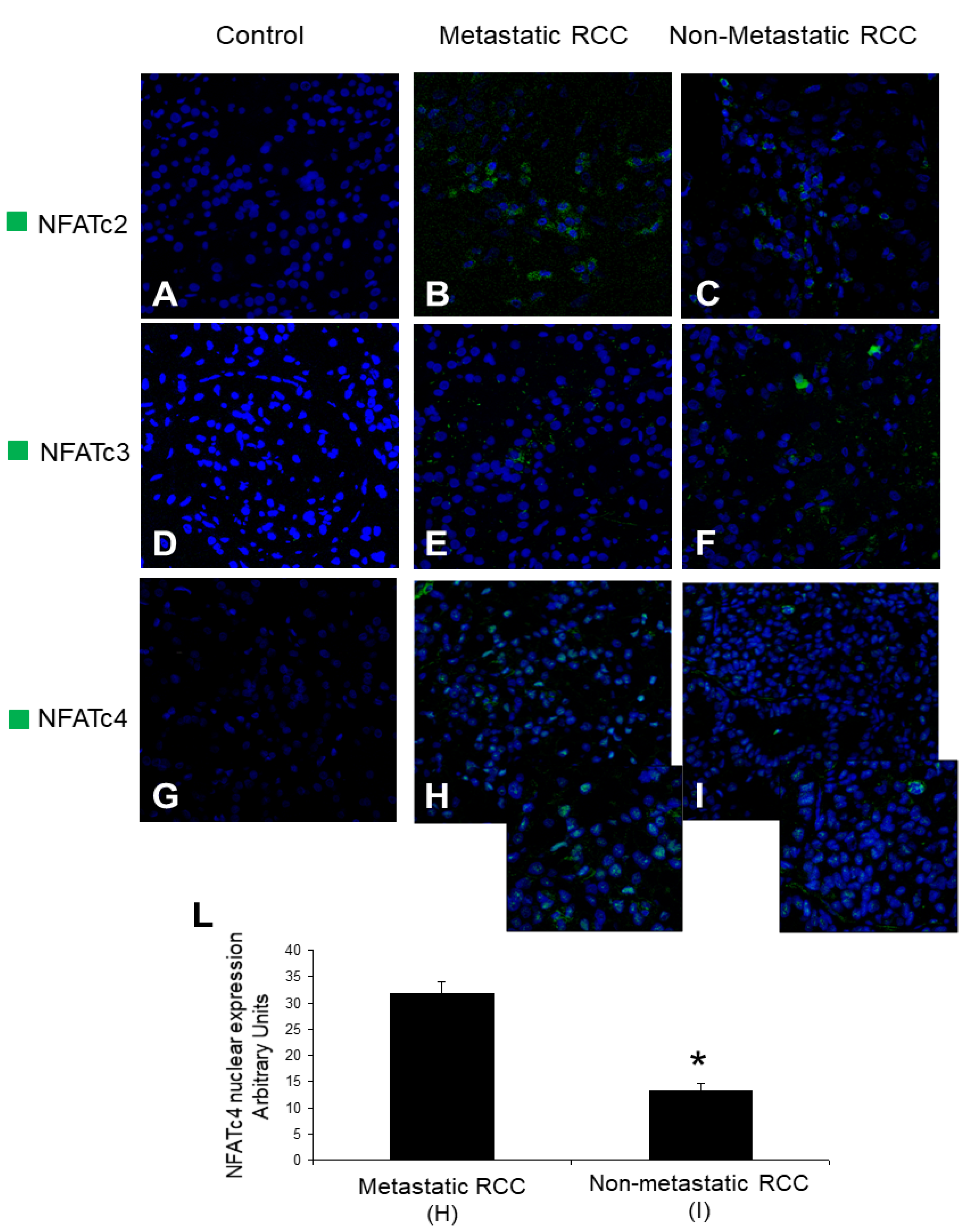 Ijms 22 08871 g004 550