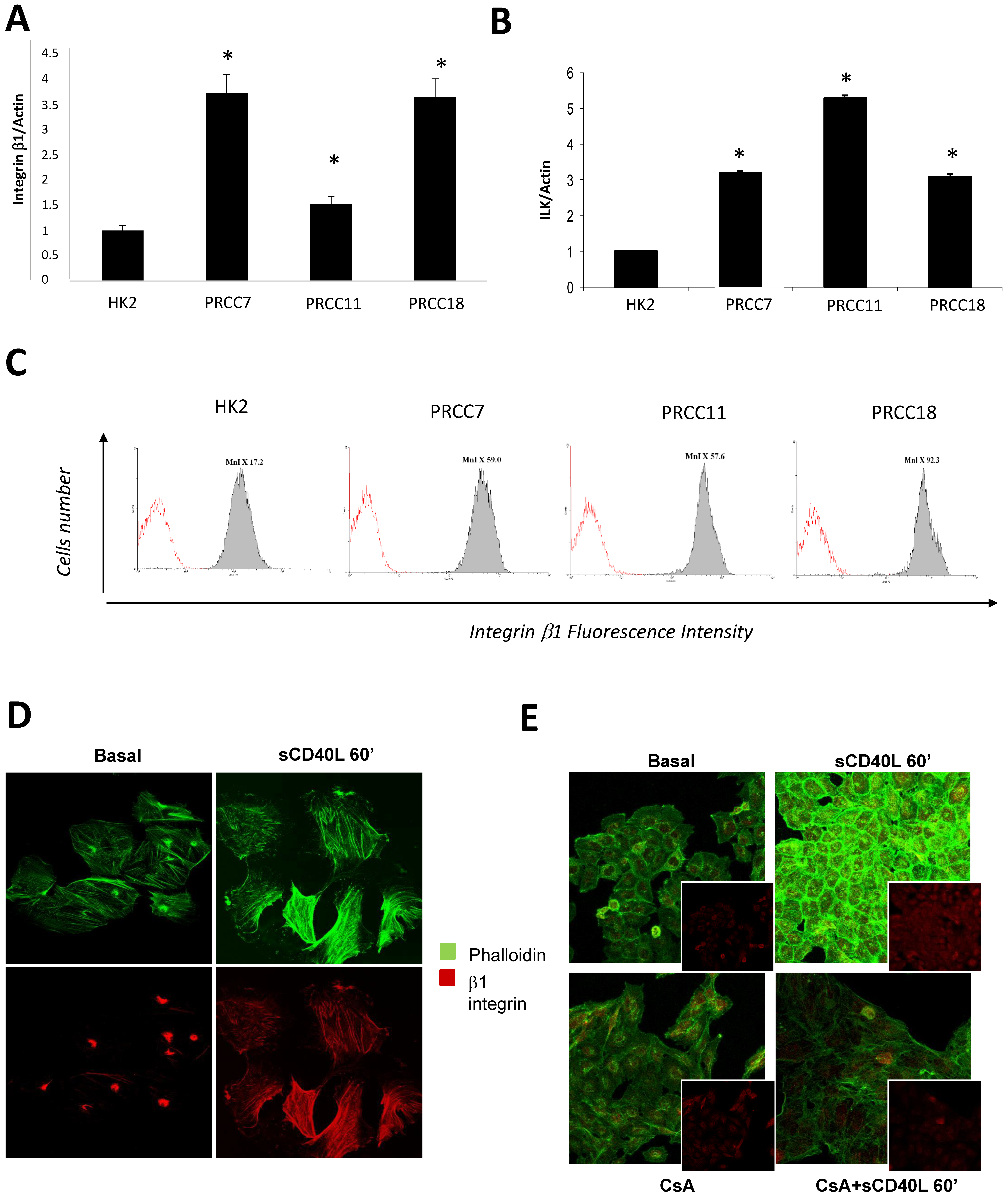 Ijms 22 08871 g005 550
