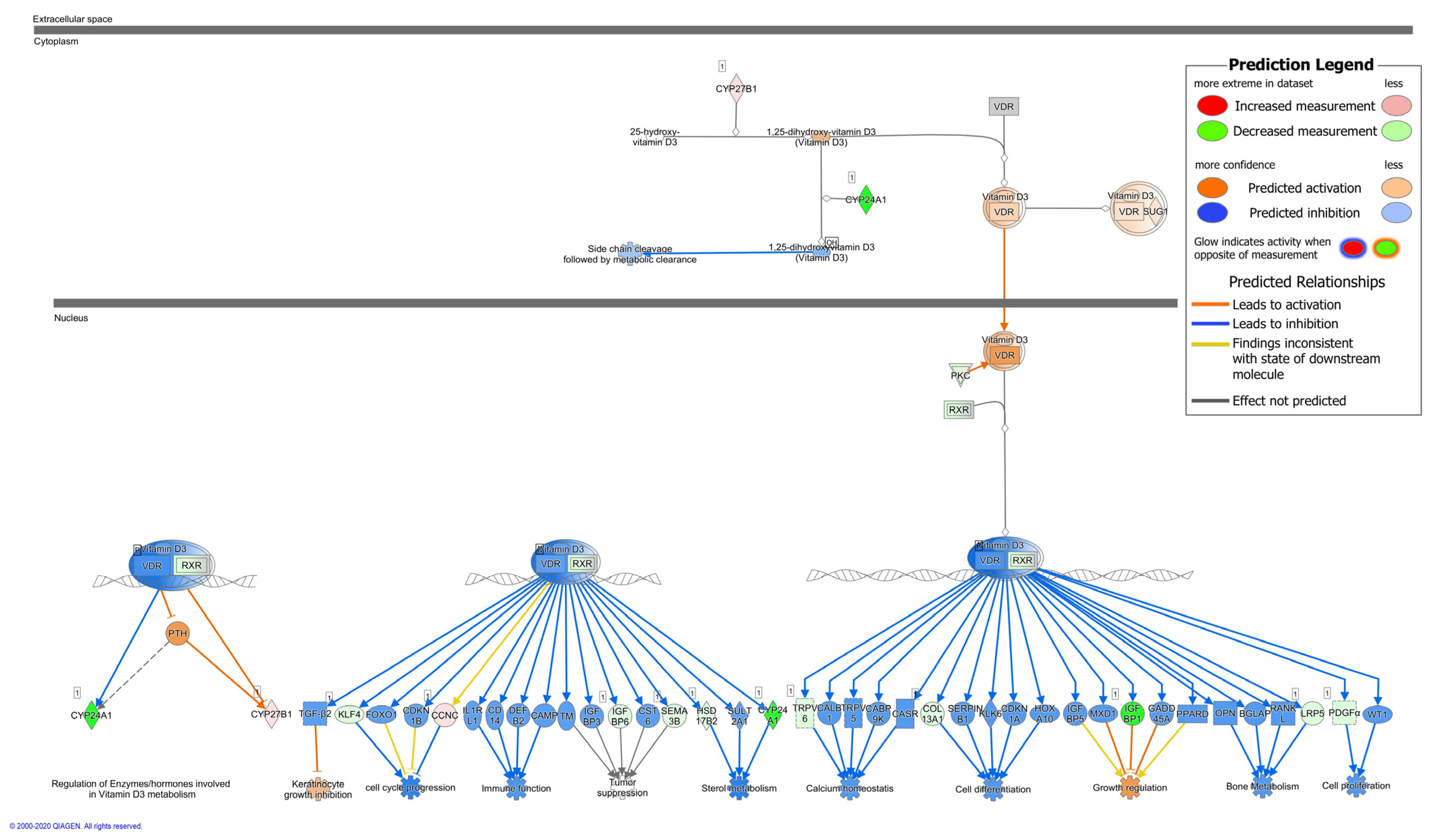 Ijms 22 08872 g001 550