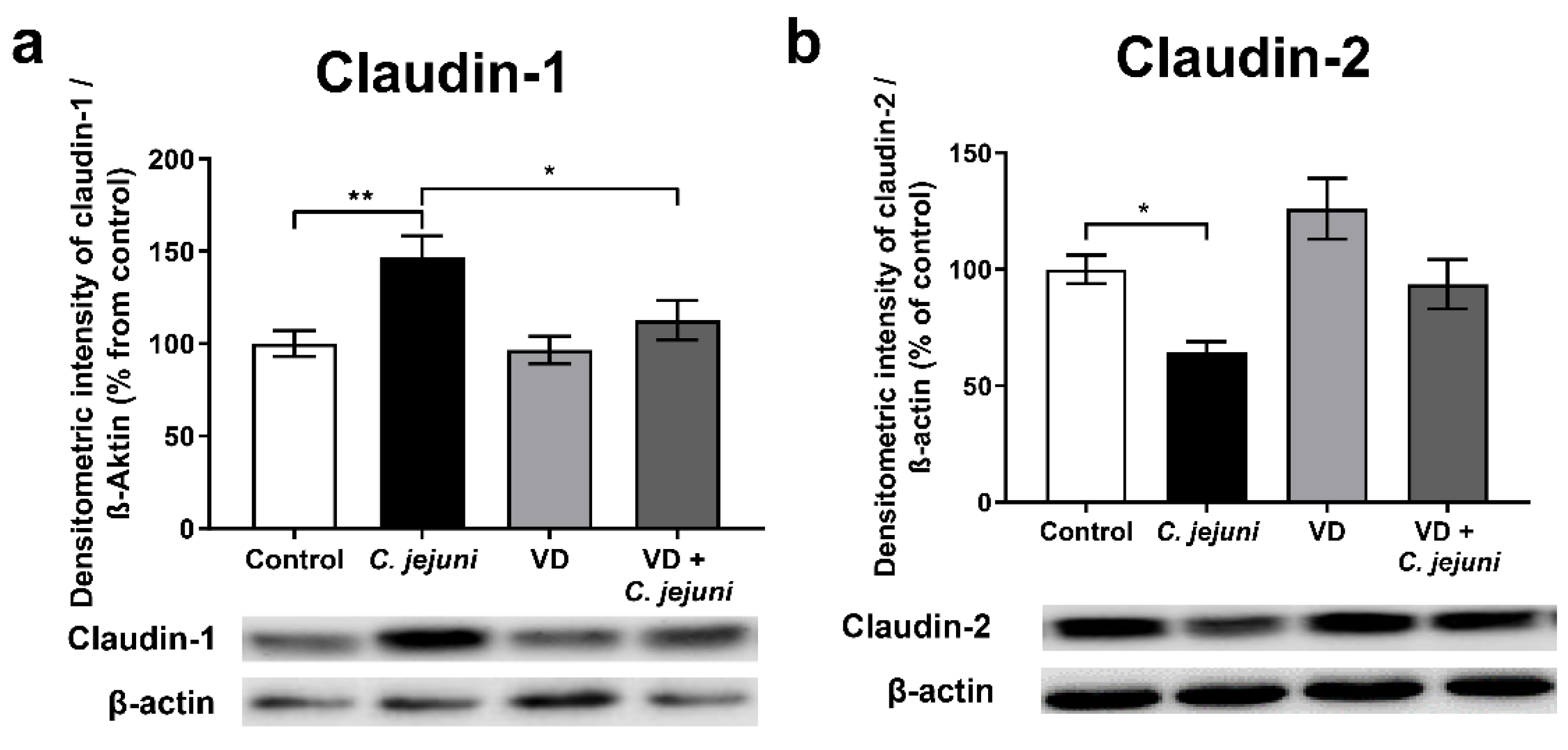 Ijms 22 08872 g004 550