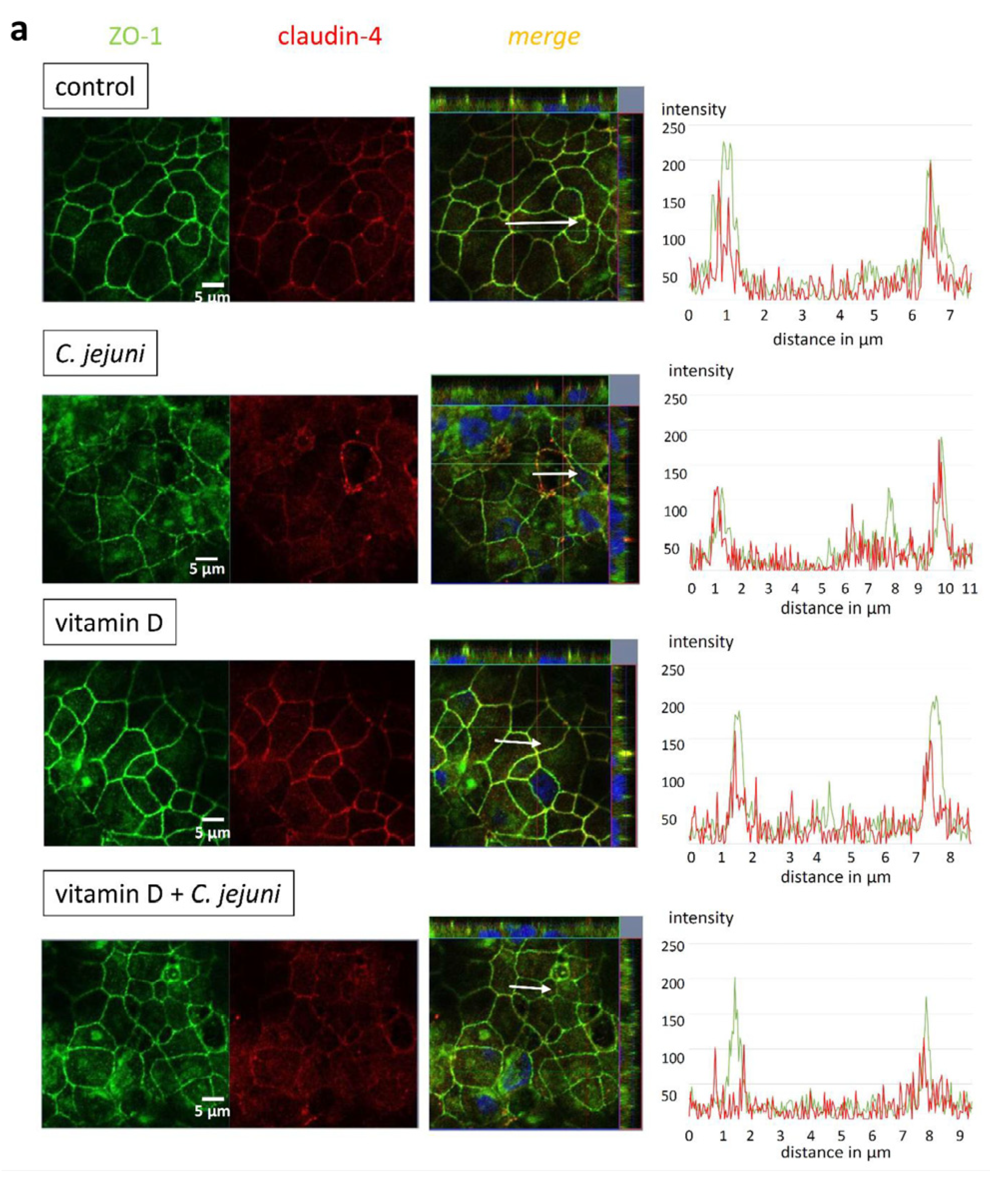 Ijms 22 08872 g005a 550