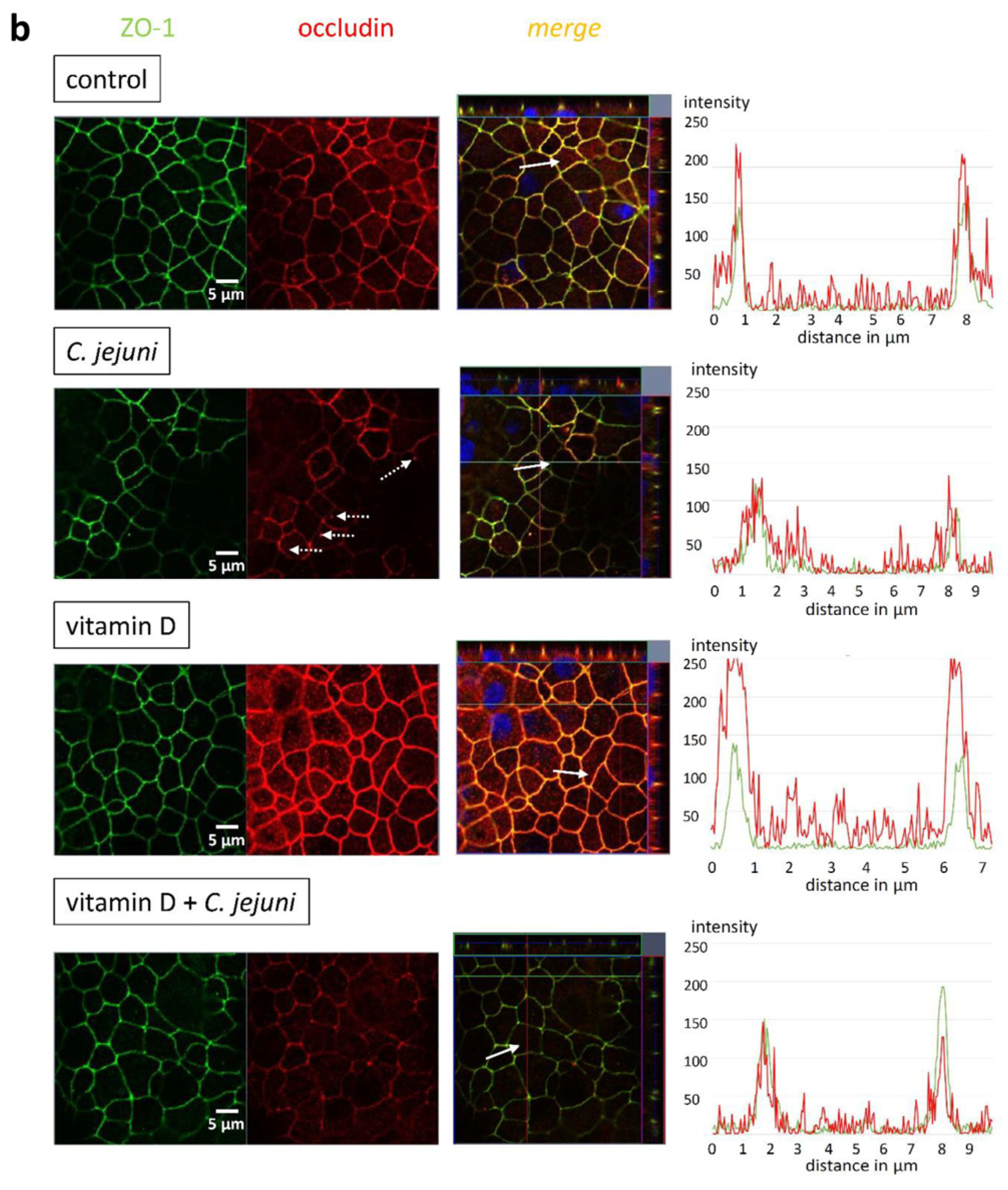 Ijms 22 08872 g005b 550