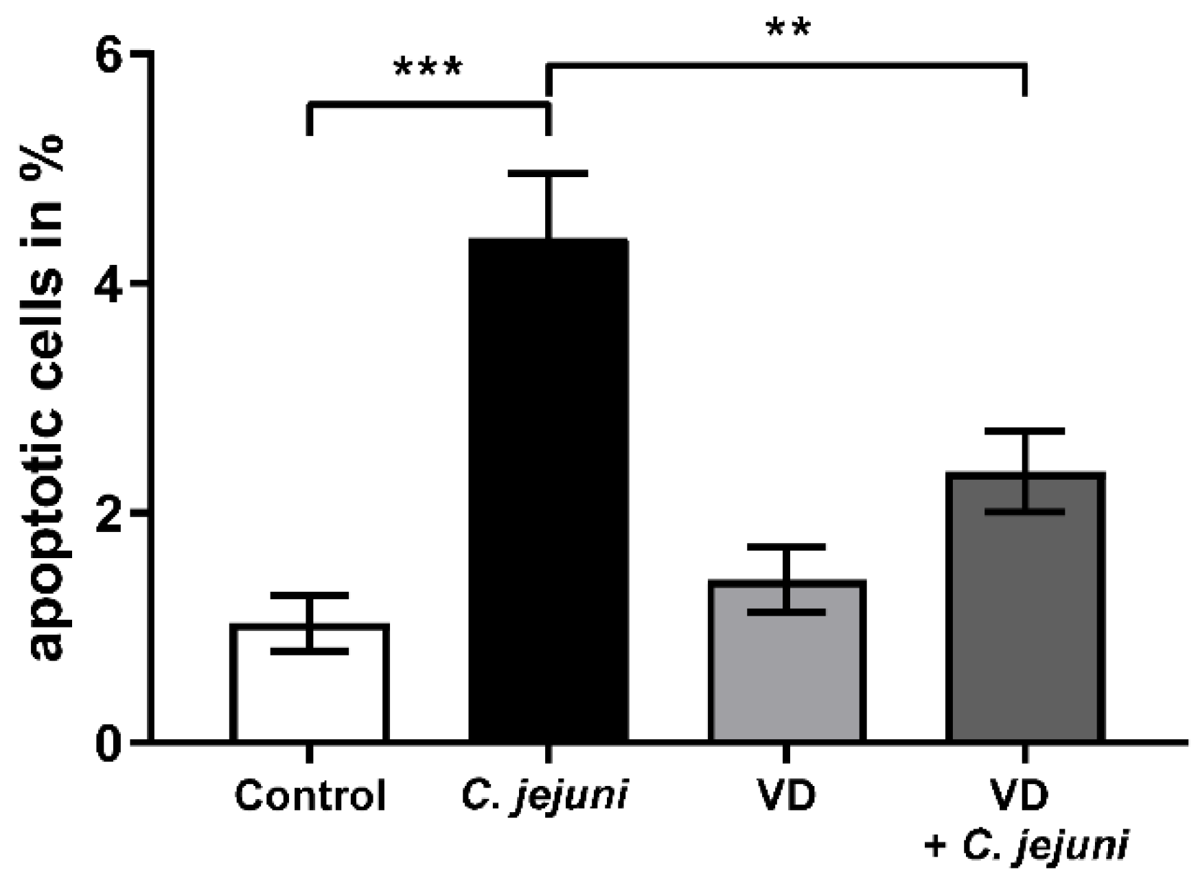 Ijms 22 08872 g006 550