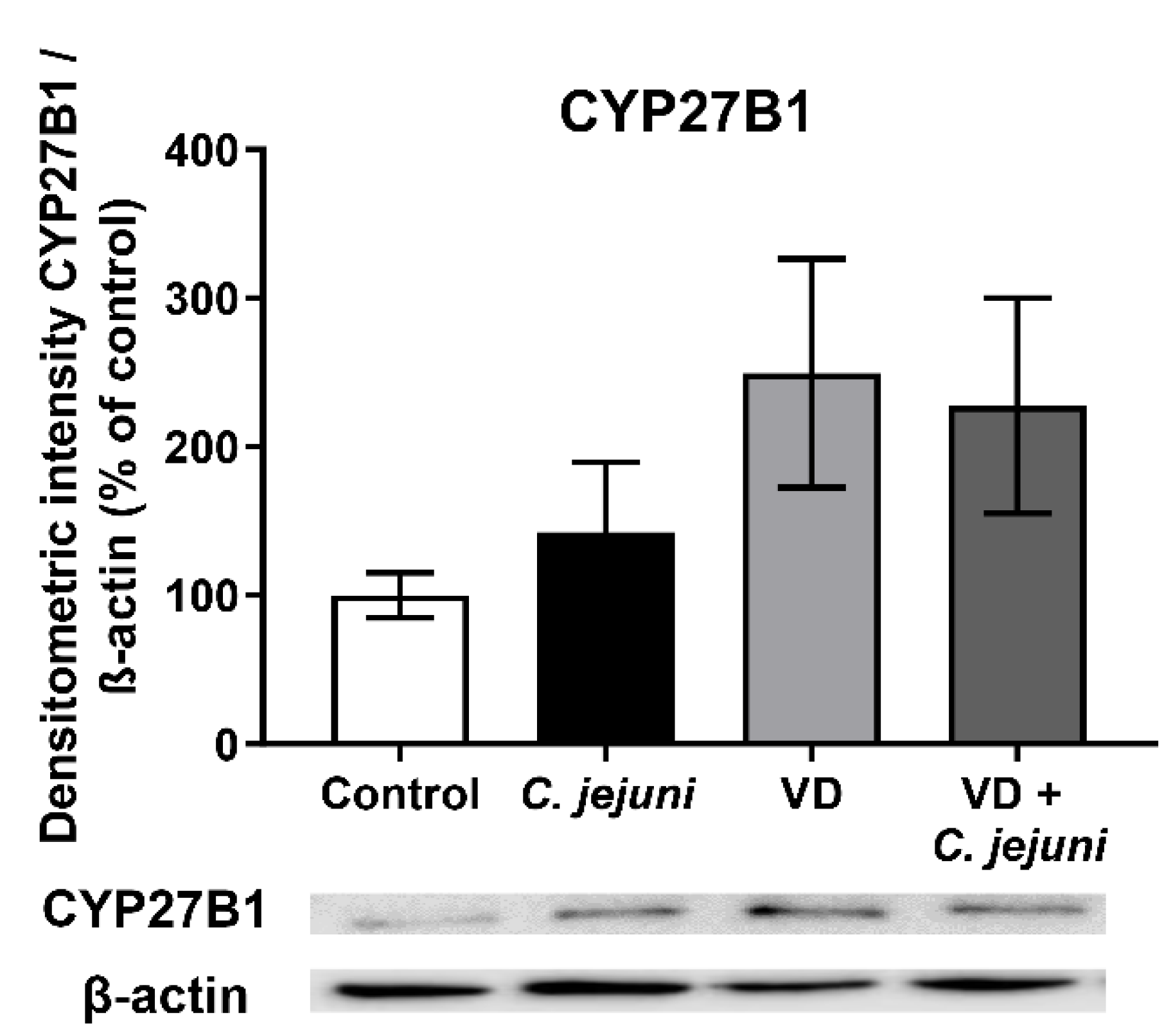 Ijms 22 08872 g008 550