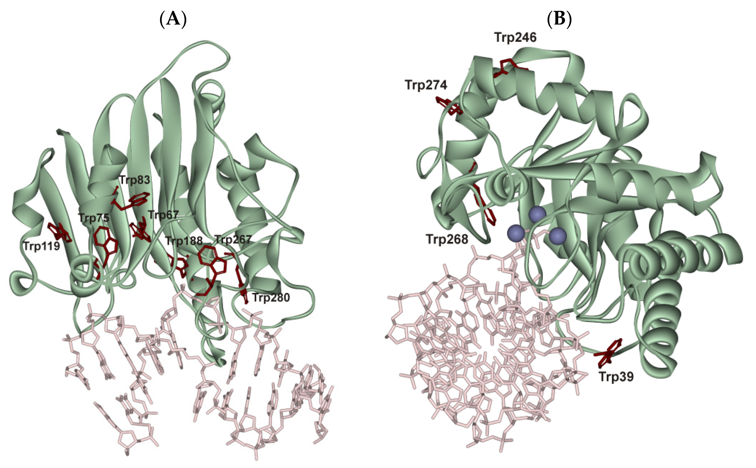 Ijms 22 08874 g002 Ijms 22 08874 g002