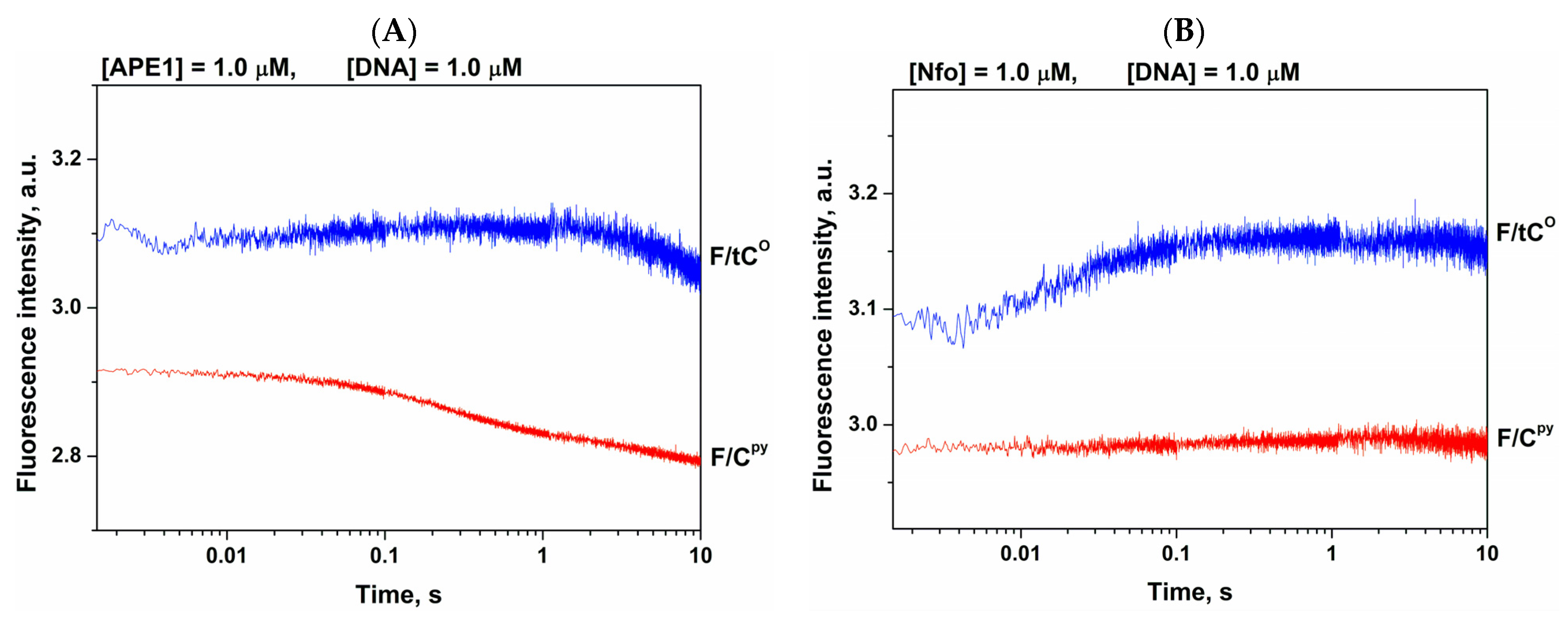 Ijms 22 08874 g007 Ijms 22 08874 g007