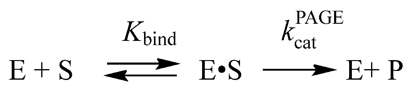 Ijms 22 08874 sch003 Ijms 22 08874 sch003