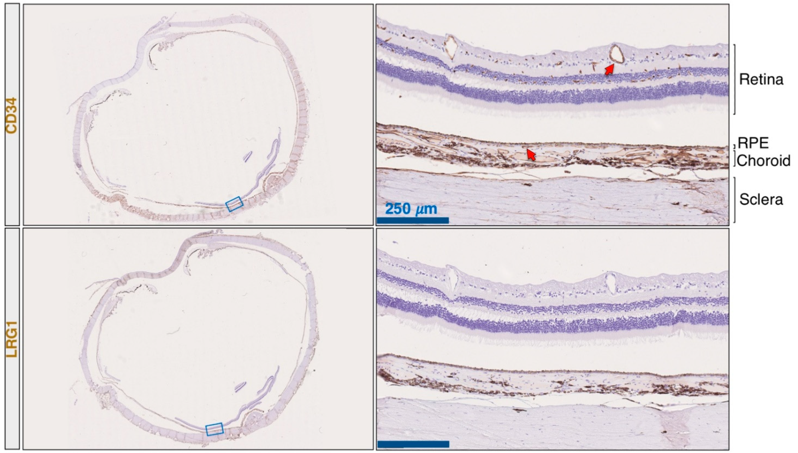 Ijms 22 08879 g001 550