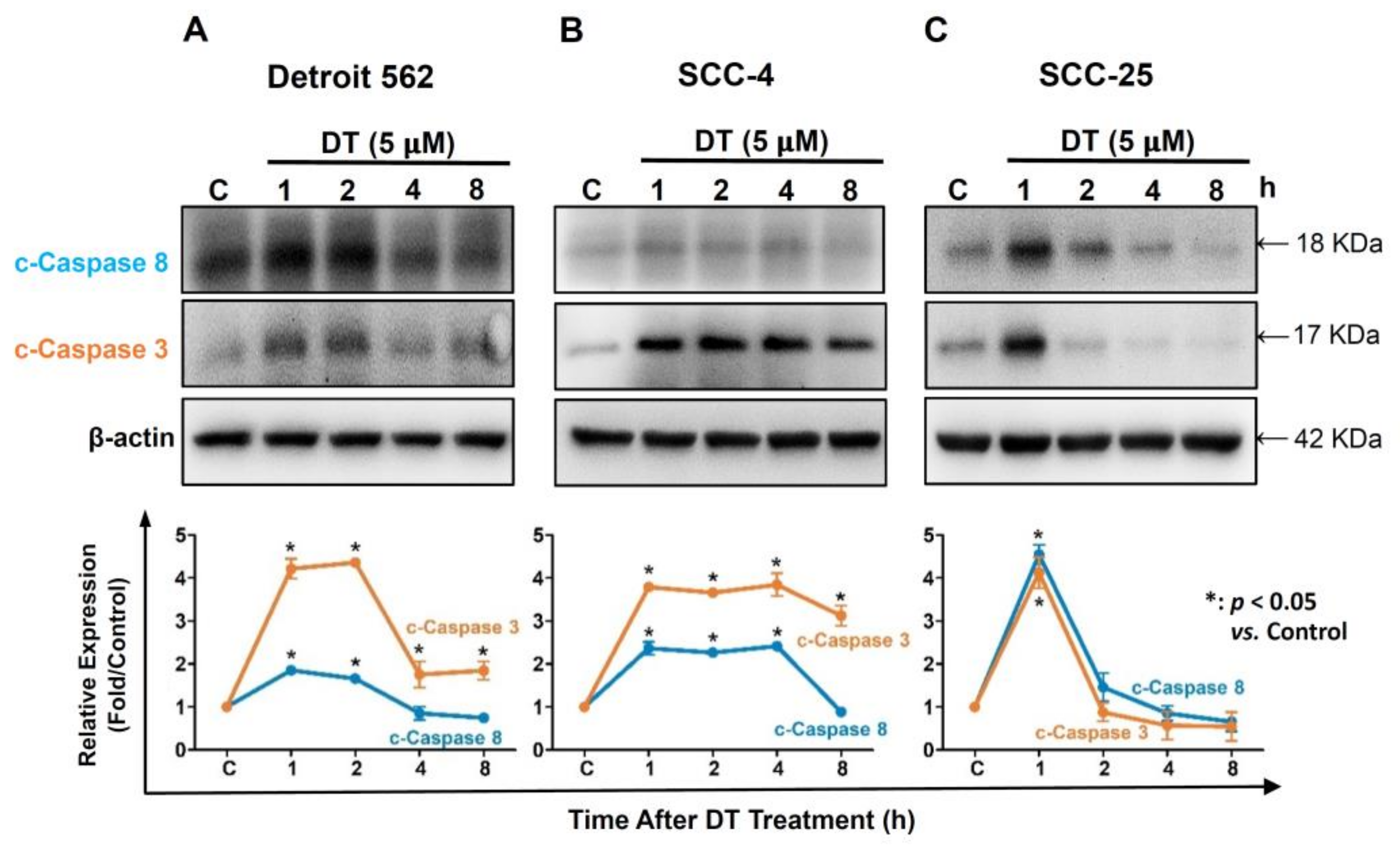 Ijms 22 08881 g005 550