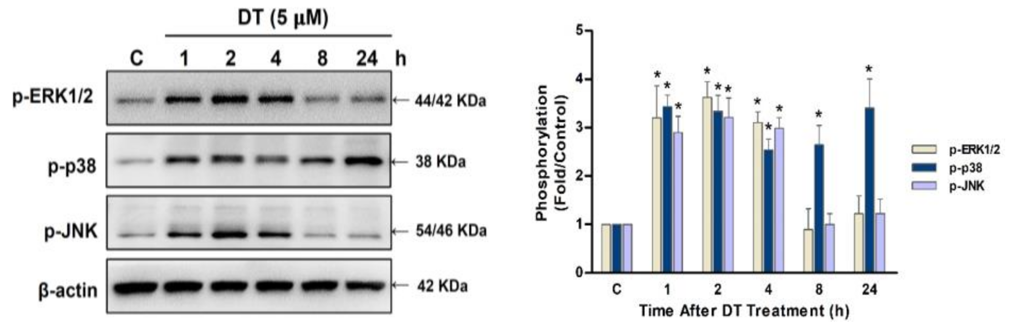 Ijms 22 08881 g006 550