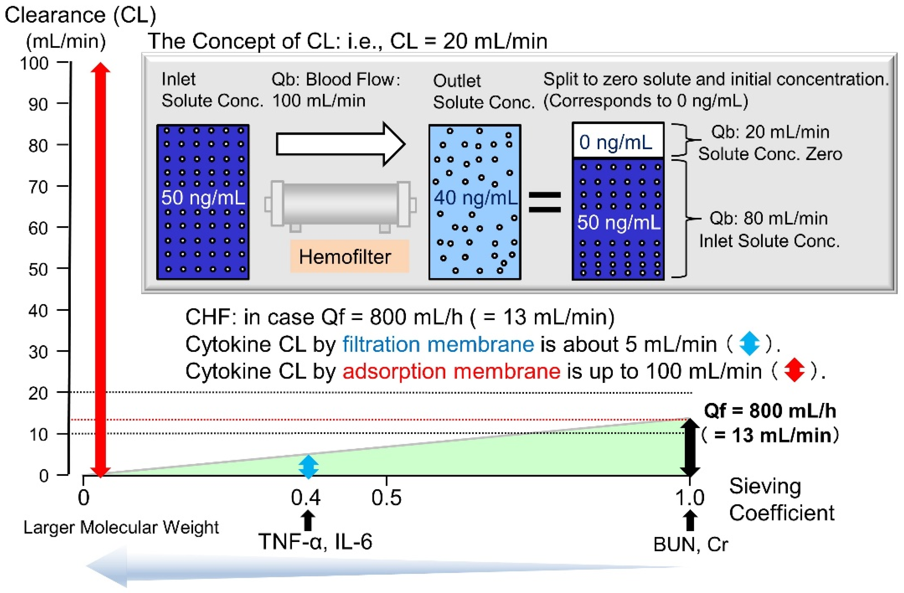 Ijms 22 08882 g005 Ijms 22 08882 g005