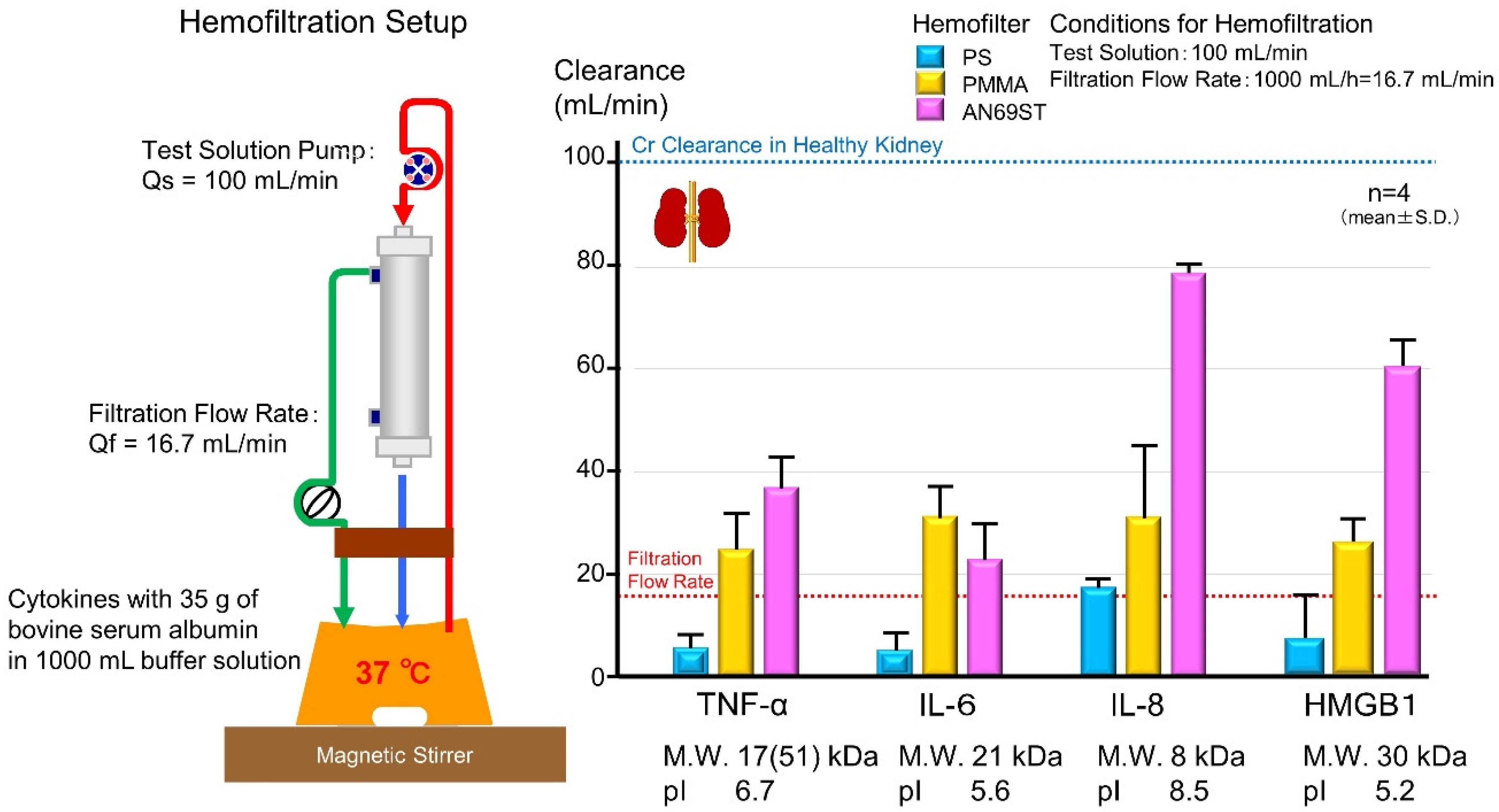 Ijms 22 08882 g006 Ijms 22 08882 g006