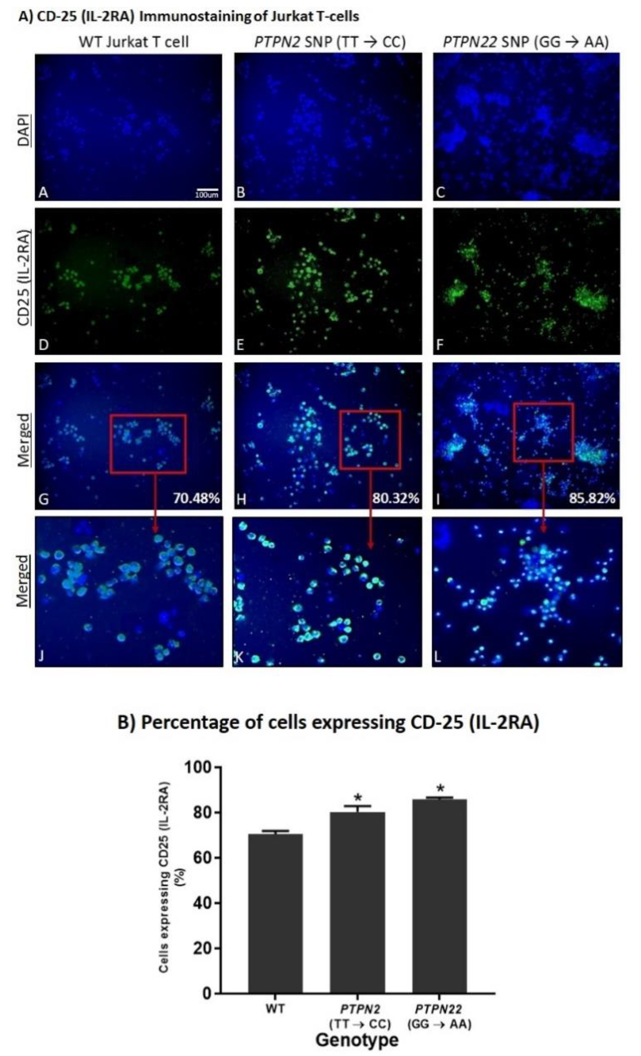Ijms 22 08883 g004 Ijms 22 08883 g004