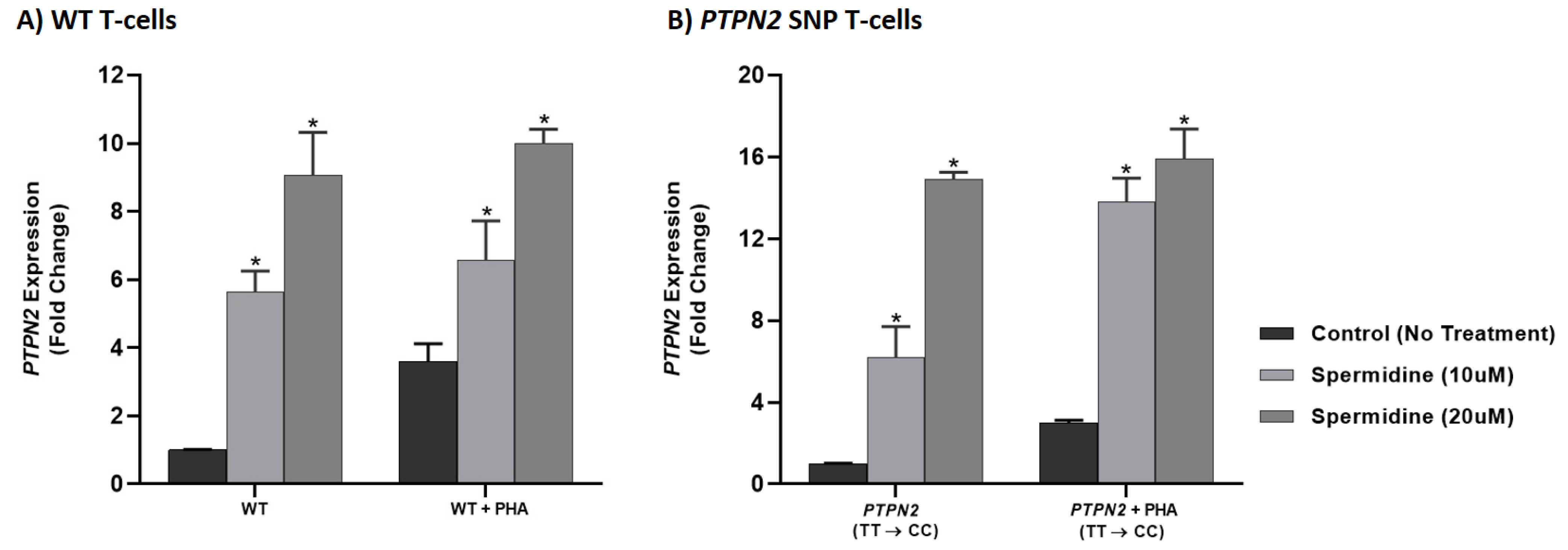 Ijms 22 08883 g005 Ijms 22 08883 g005