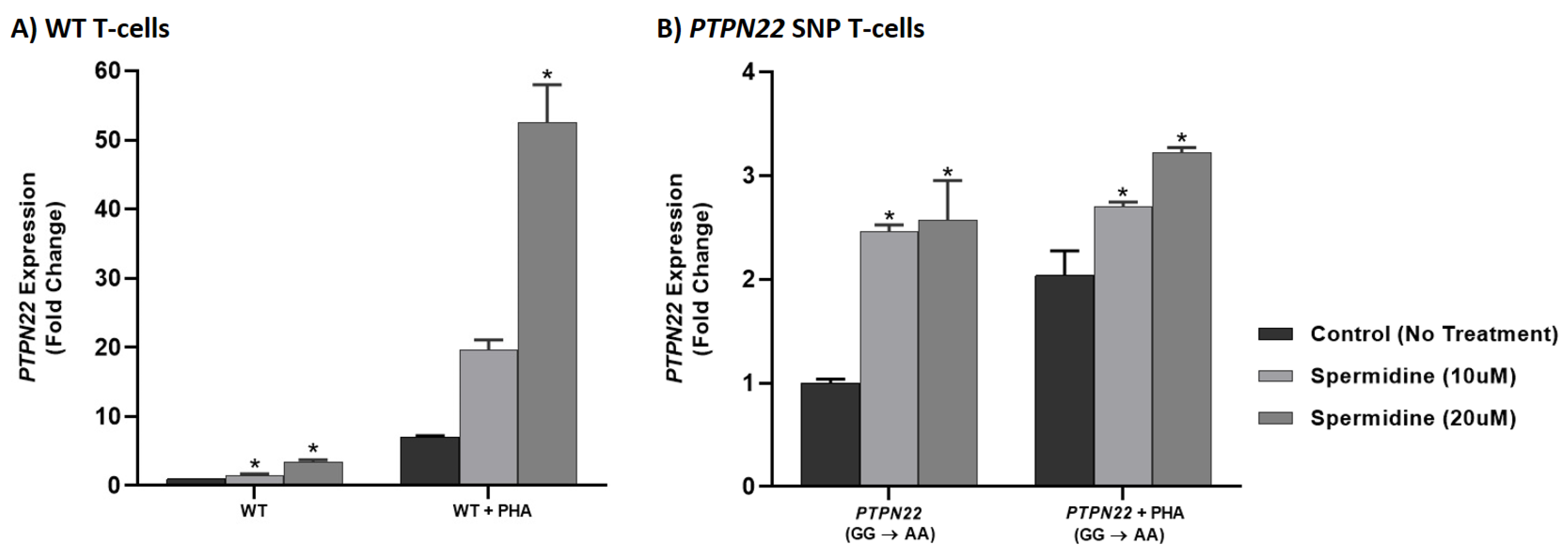 Ijms 22 08883 g006 Ijms 22 08883 g006