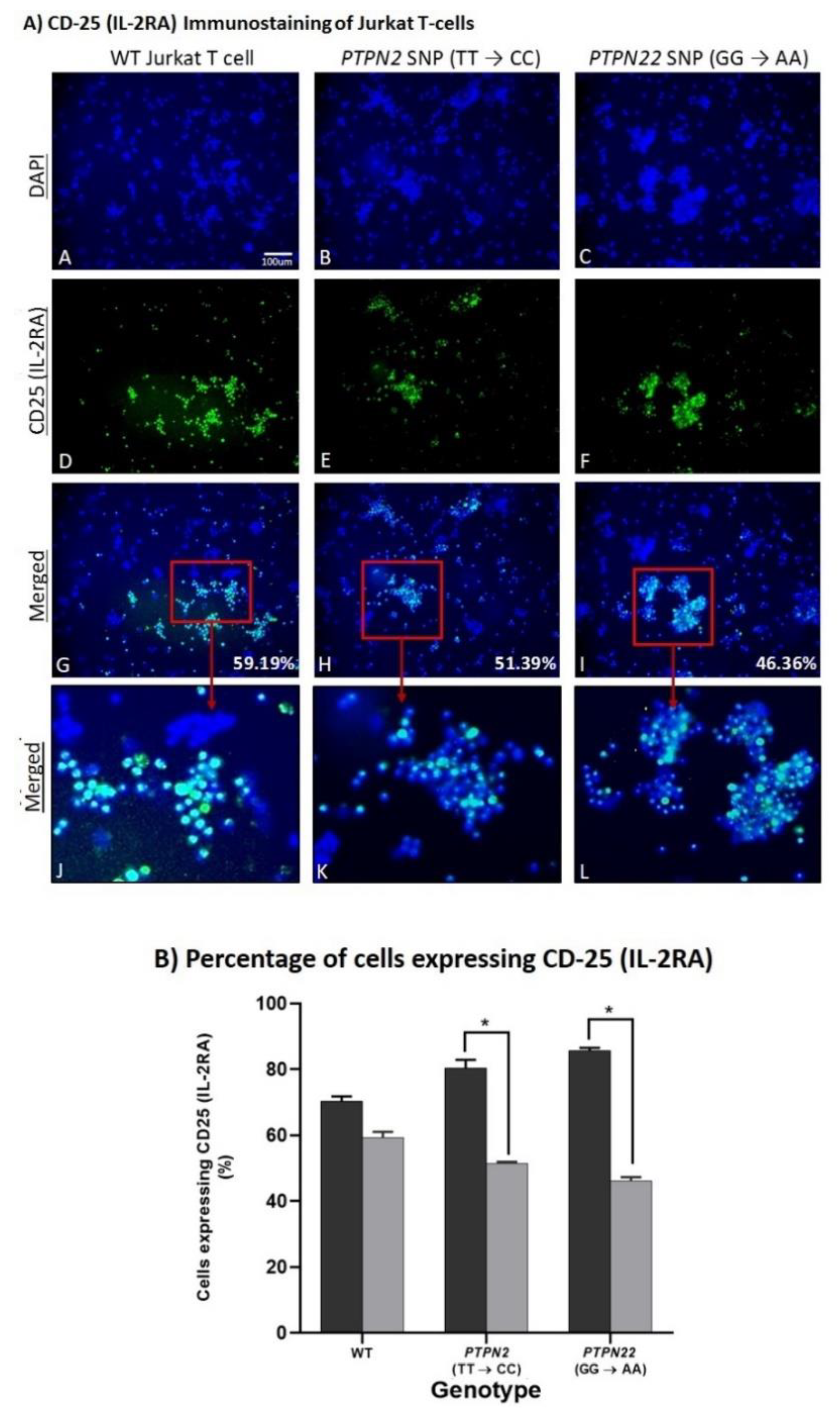 Ijms 22 08883 g008 Ijms 22 08883 g008