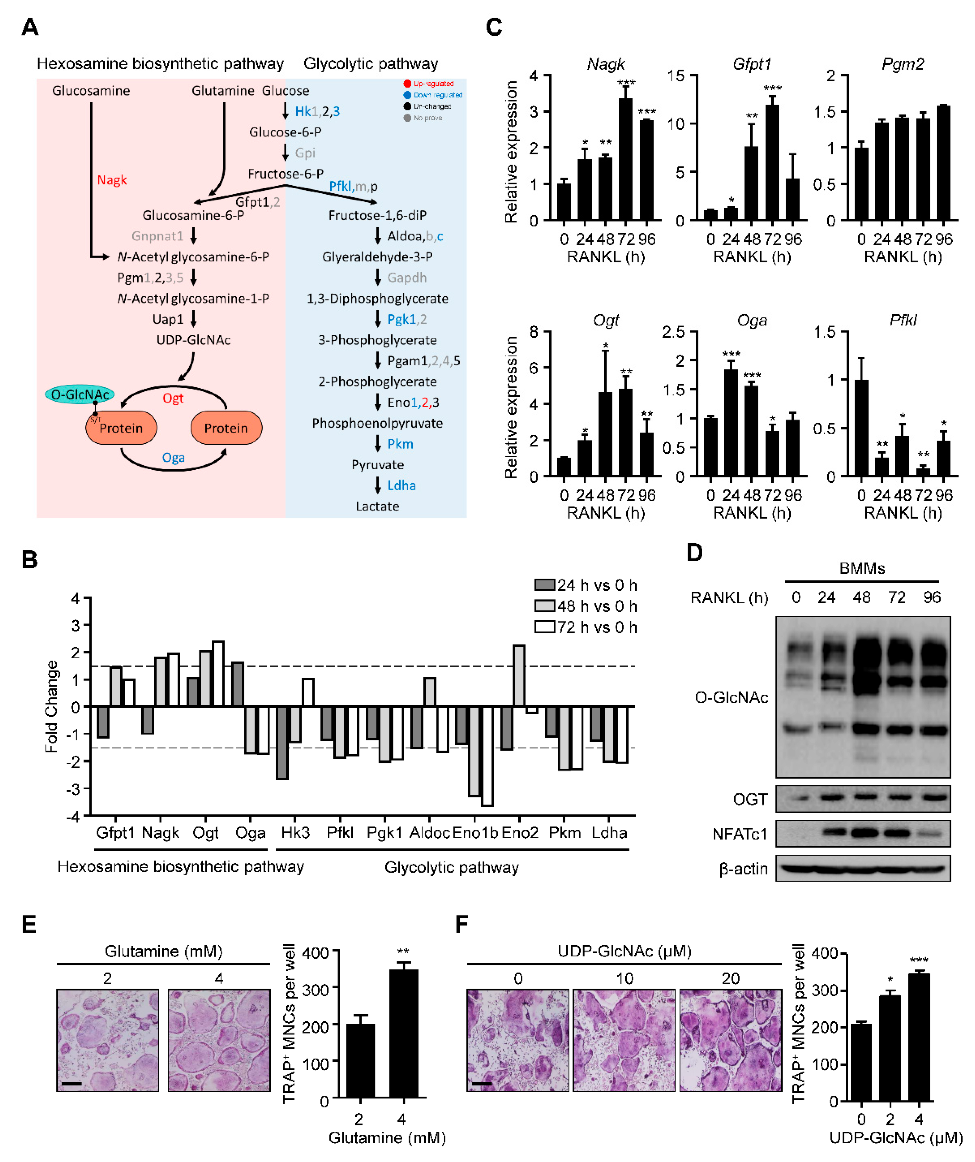Ijms 22 08888 g001 550