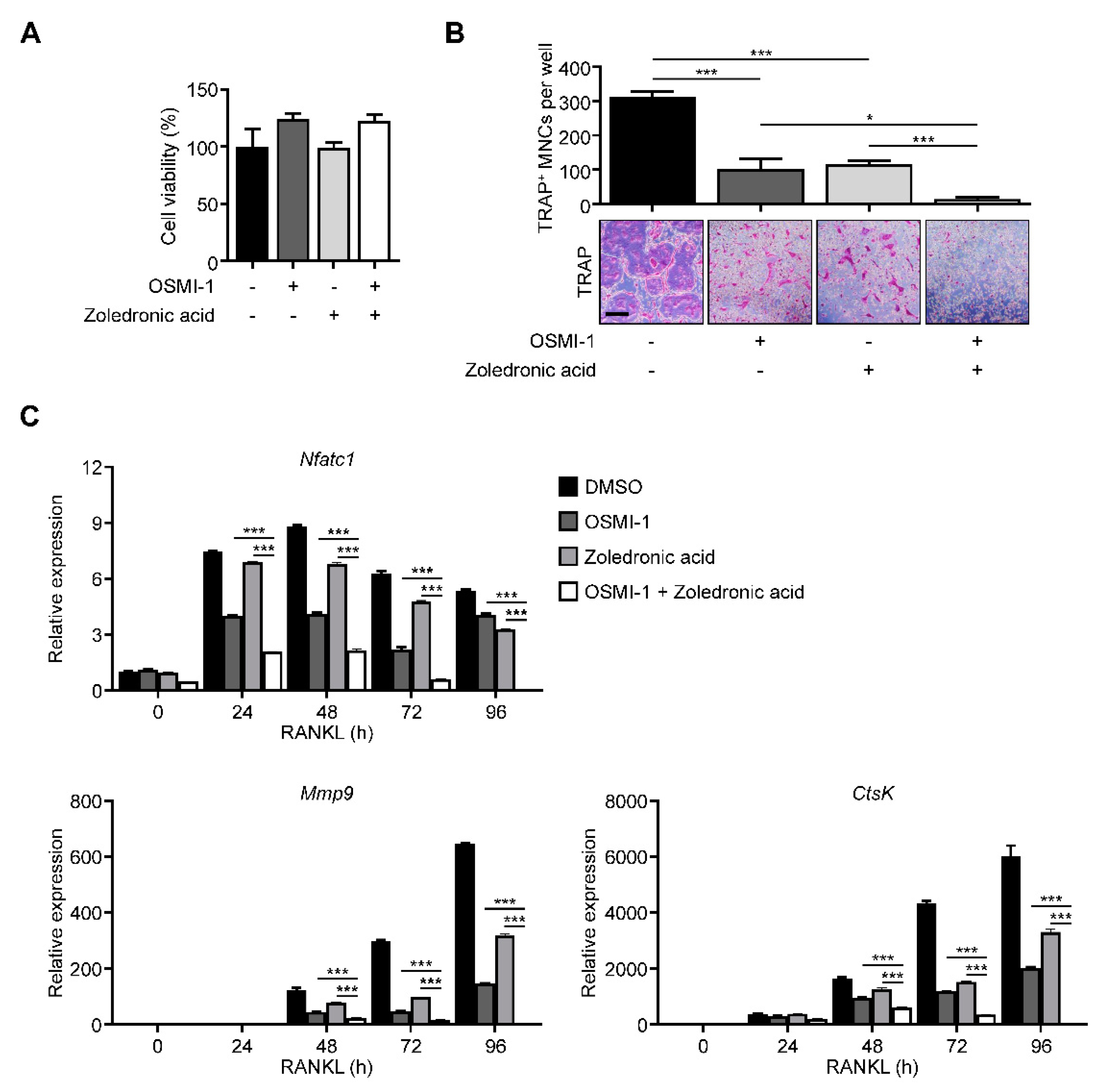 Ijms 22 08888 g005 550