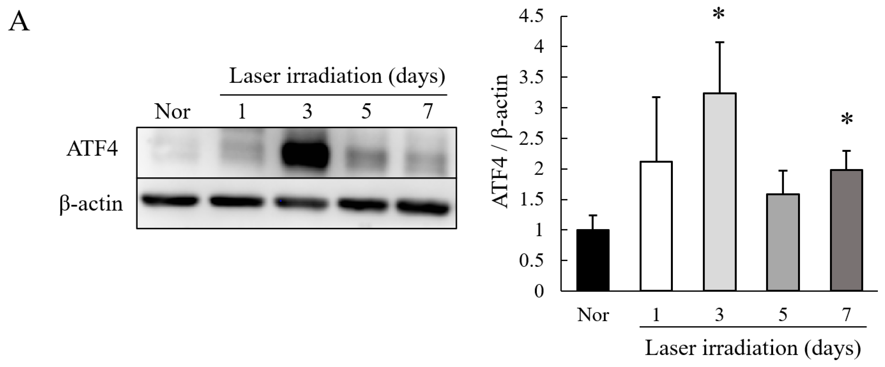 Ijms 22 08890 g001a 550