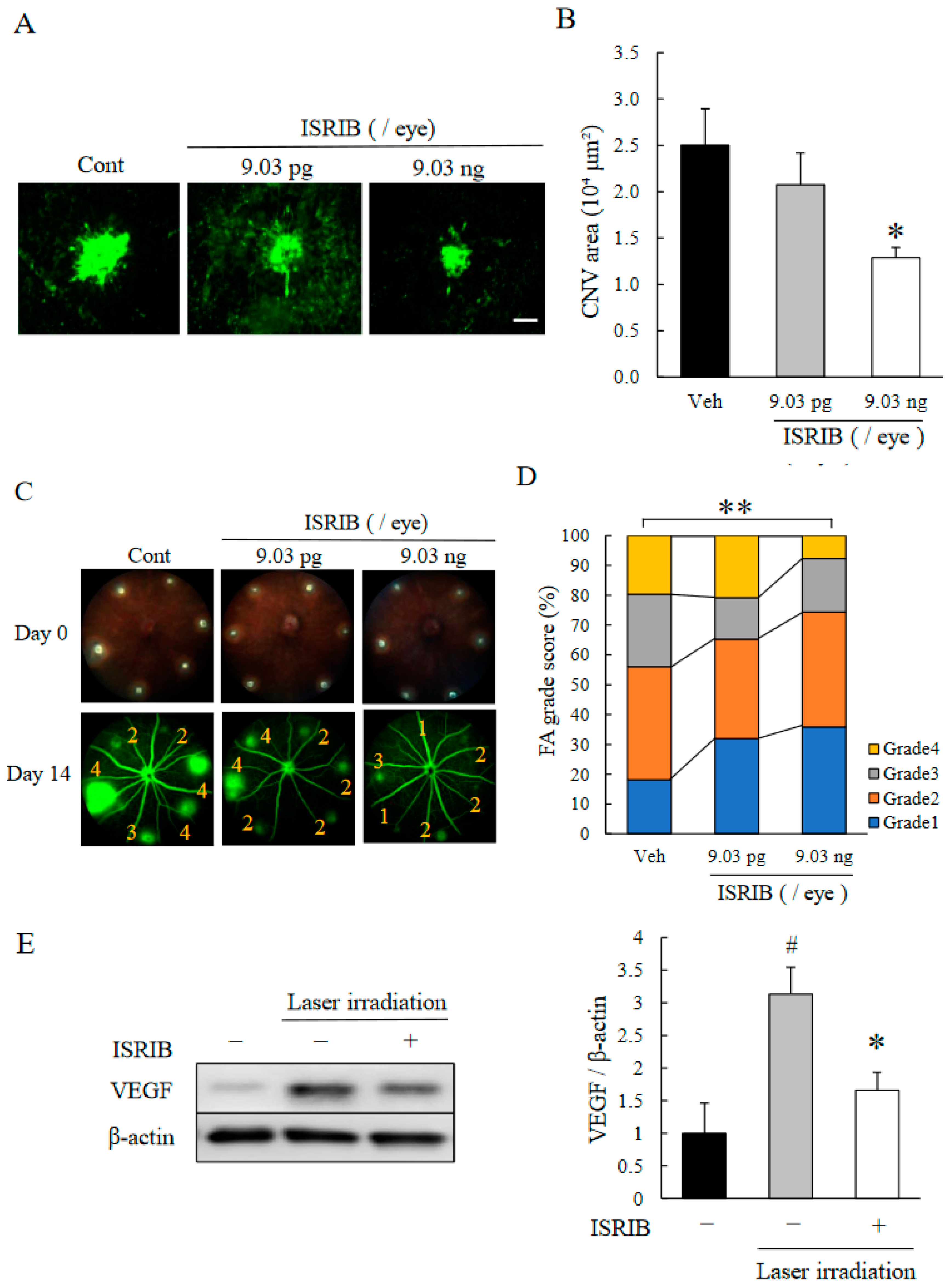 Ijms 22 08890 g002 550