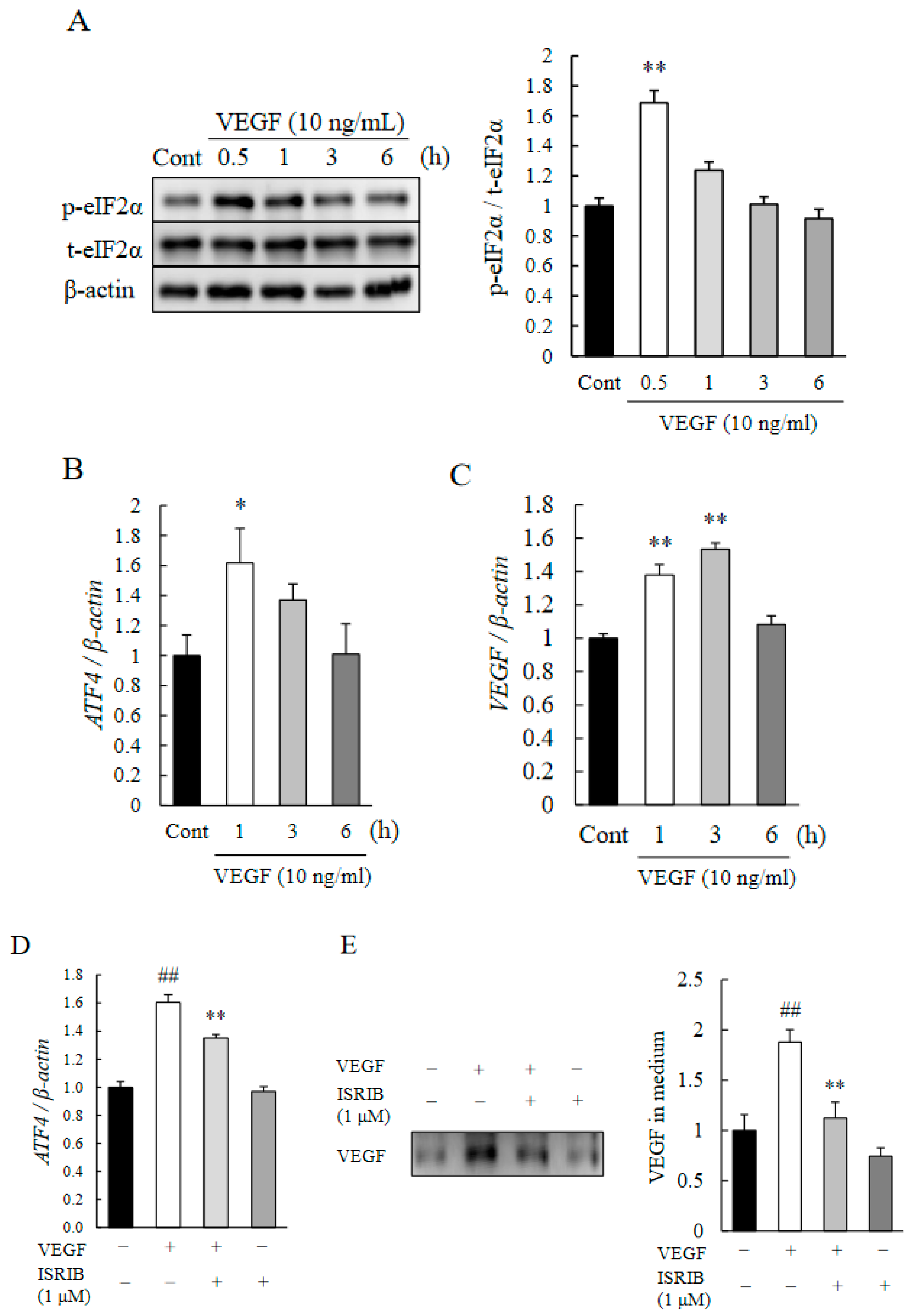 Ijms 22 08890 g004 550