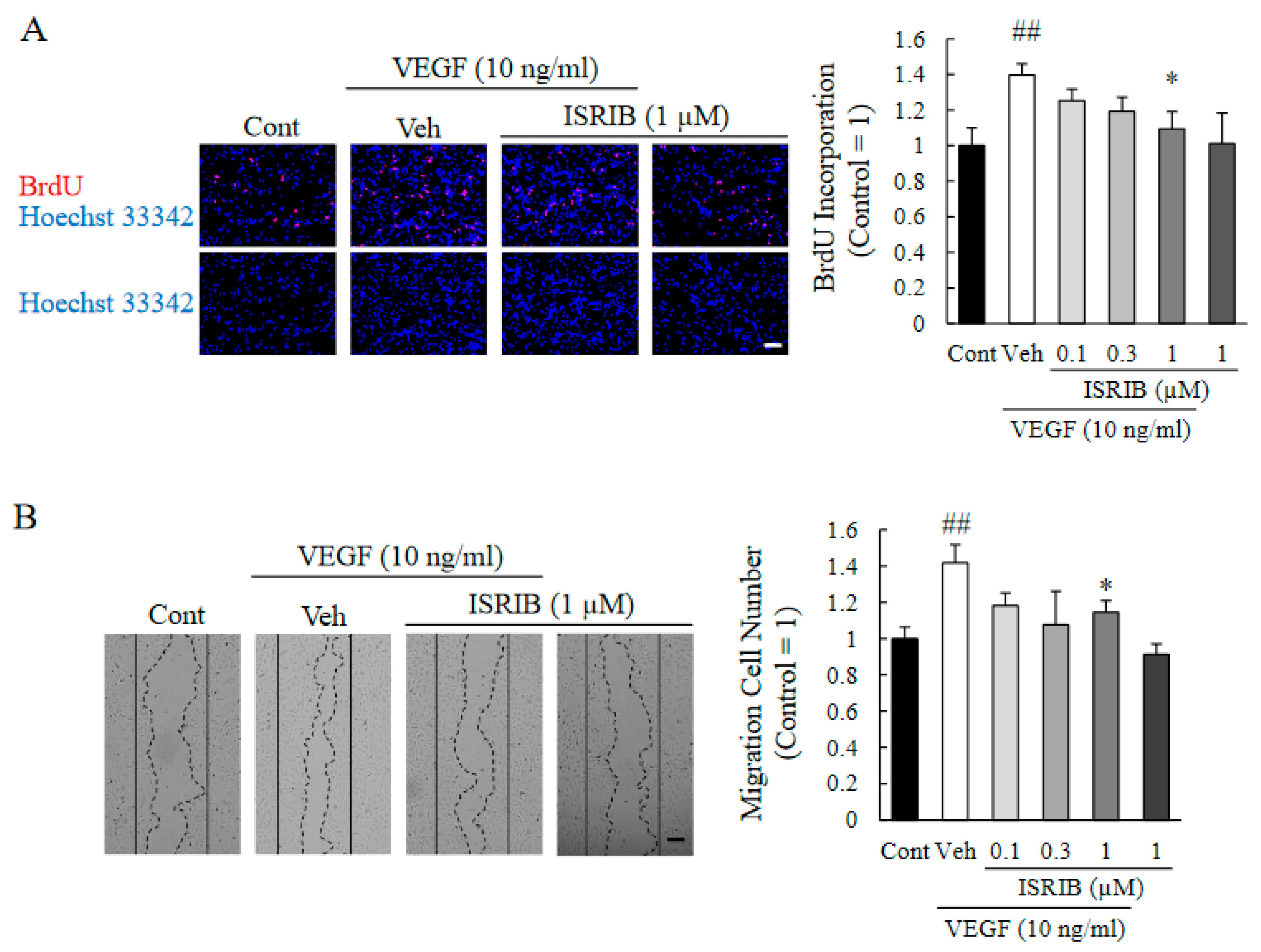 Ijms 22 08890 g005 550