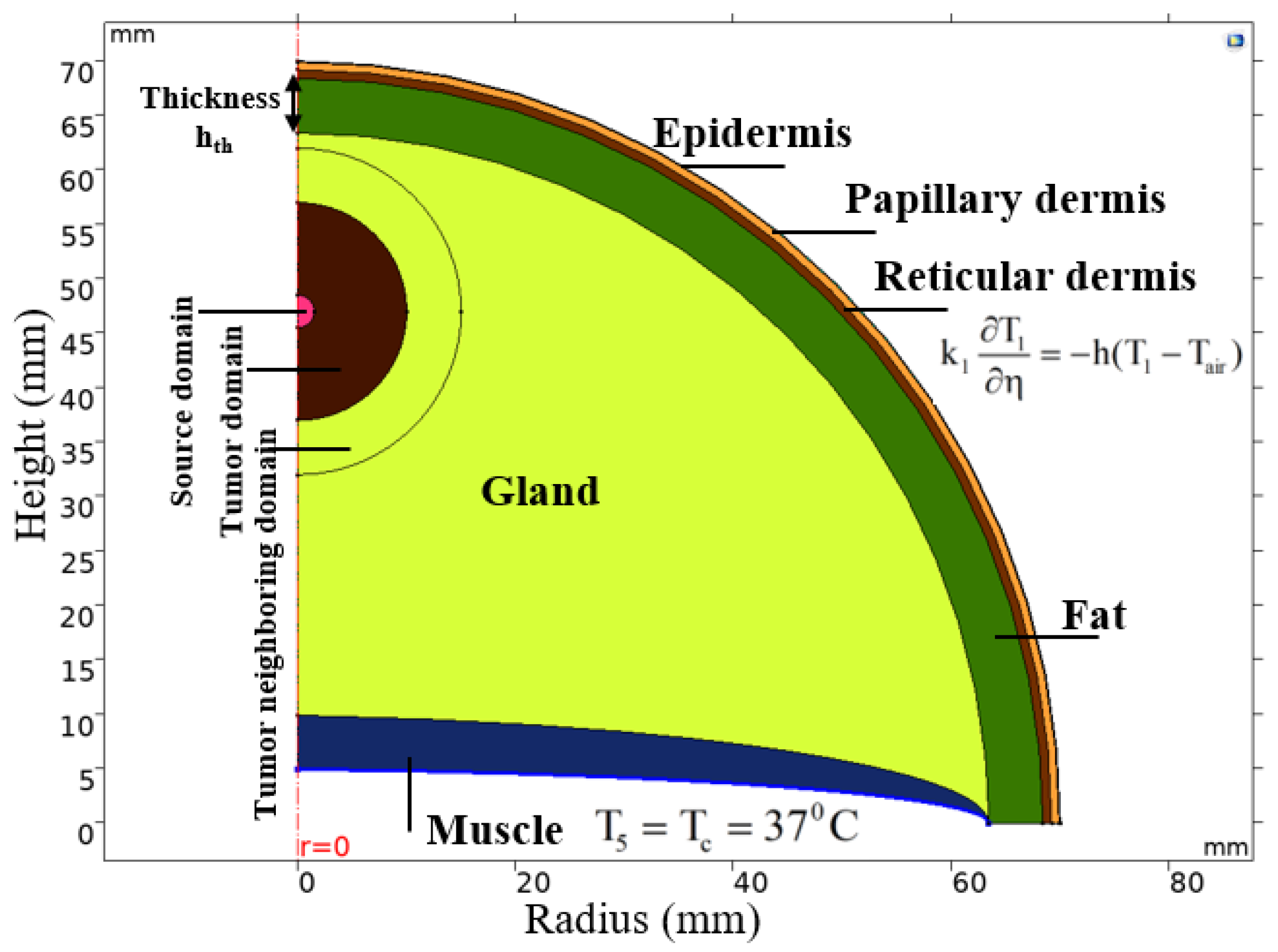 Ijms 22 08895 g006 Ijms 22 08895 g006