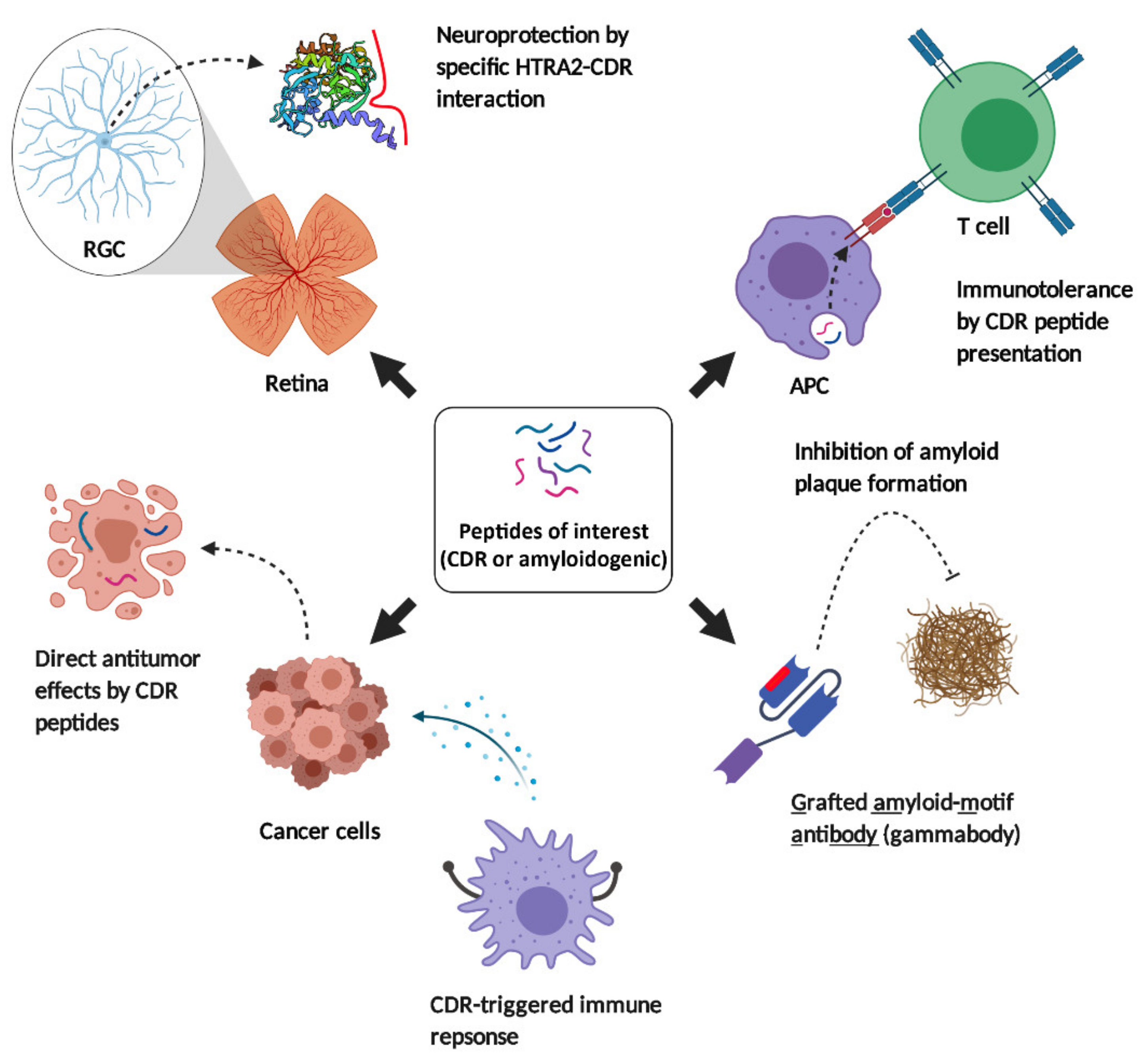 Systemic IgG repertoire as a biomarker for translocating gut