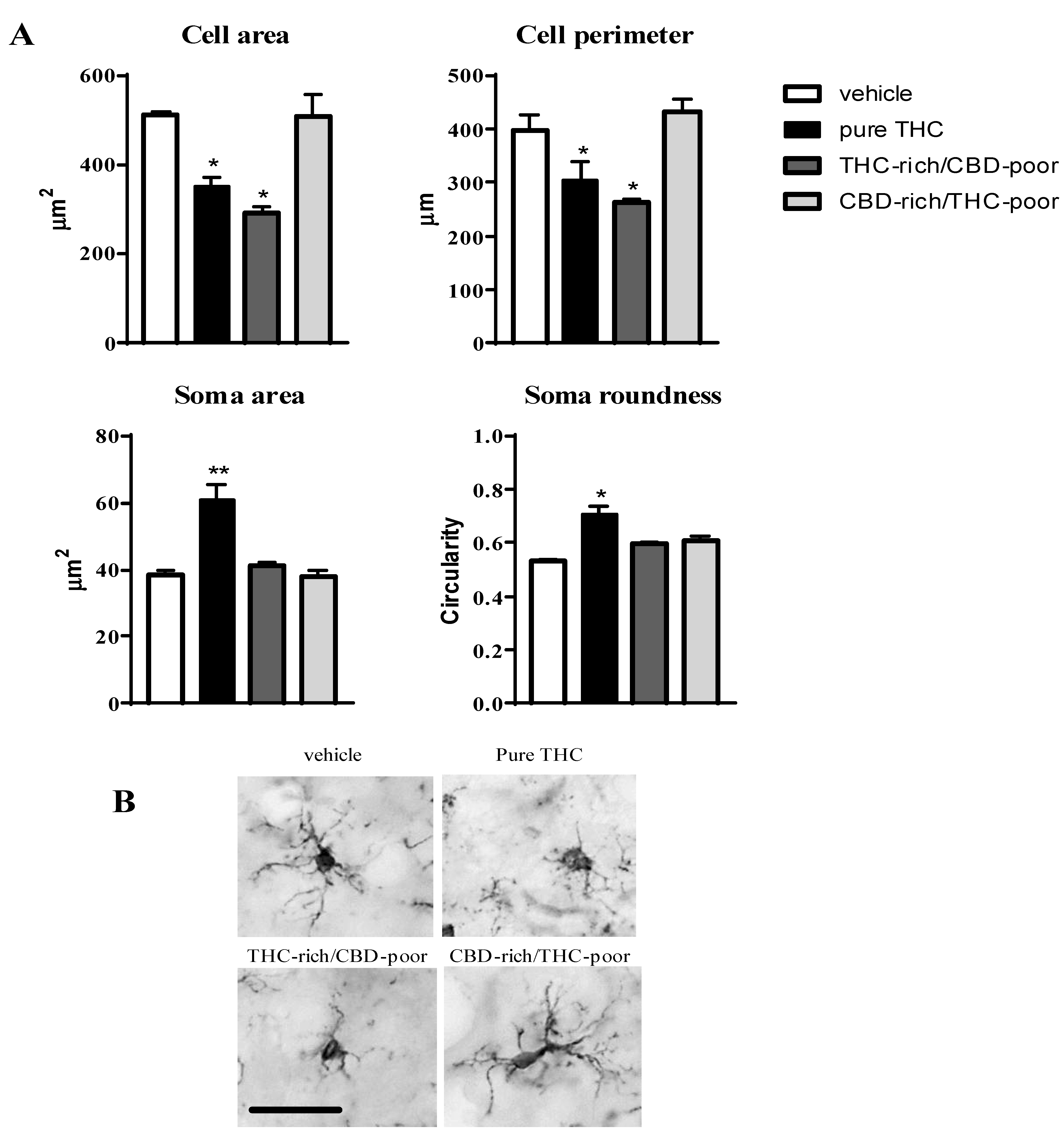 Ijms 22 08899 g003 550
