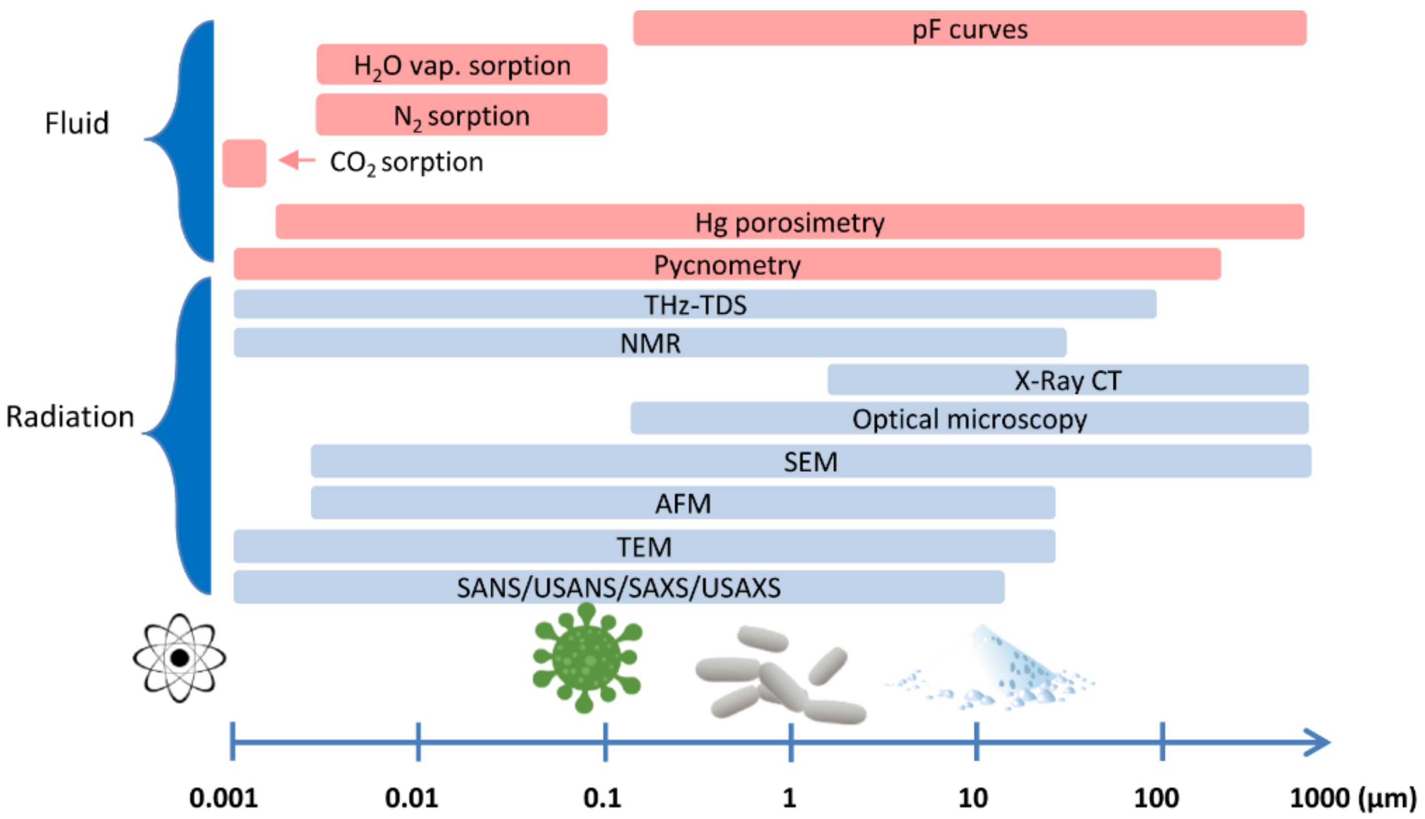 Ijms 22 08903 g002 Ijms 22 08903 g002