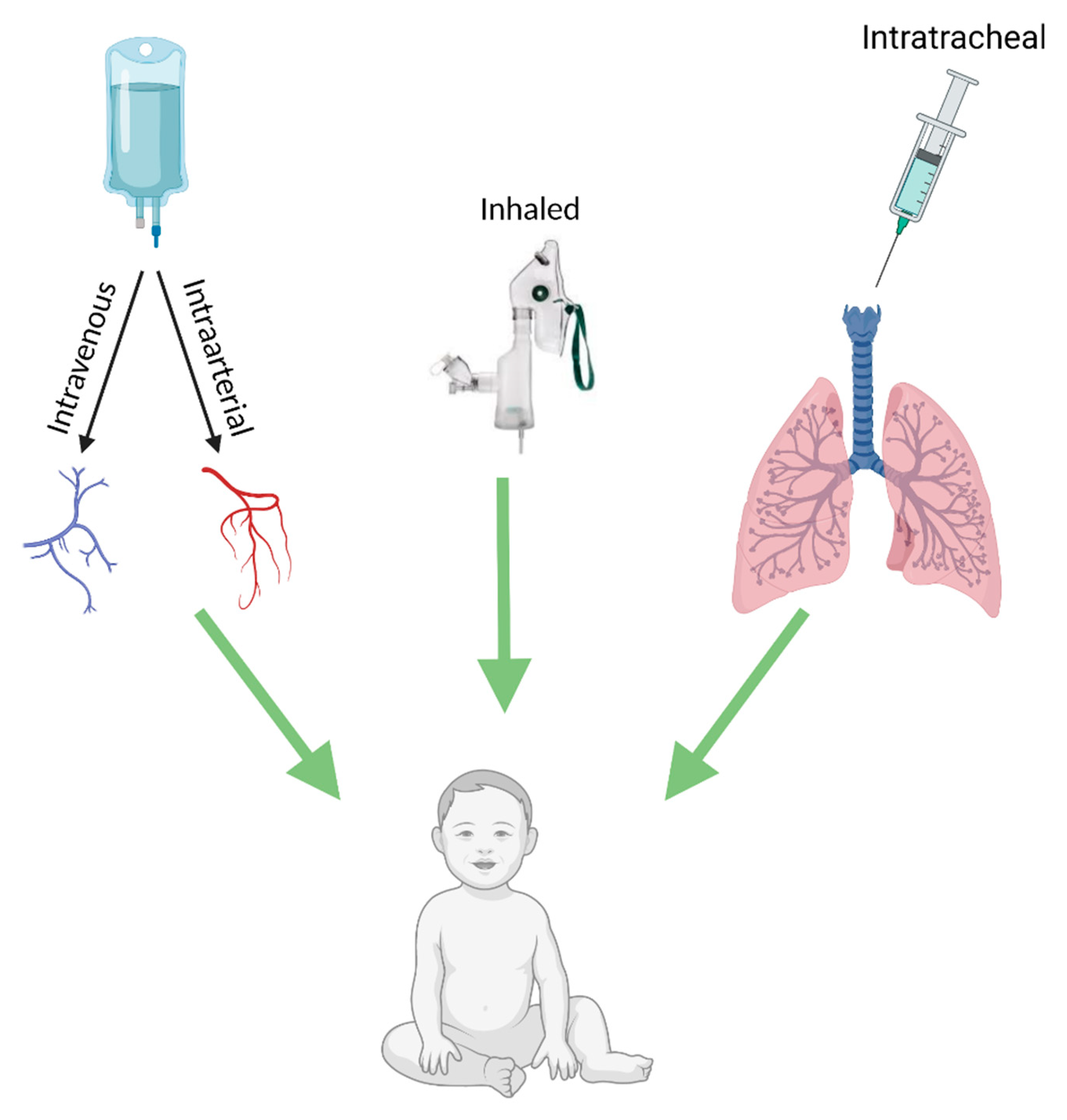 Ijms 22 08906 g001 550