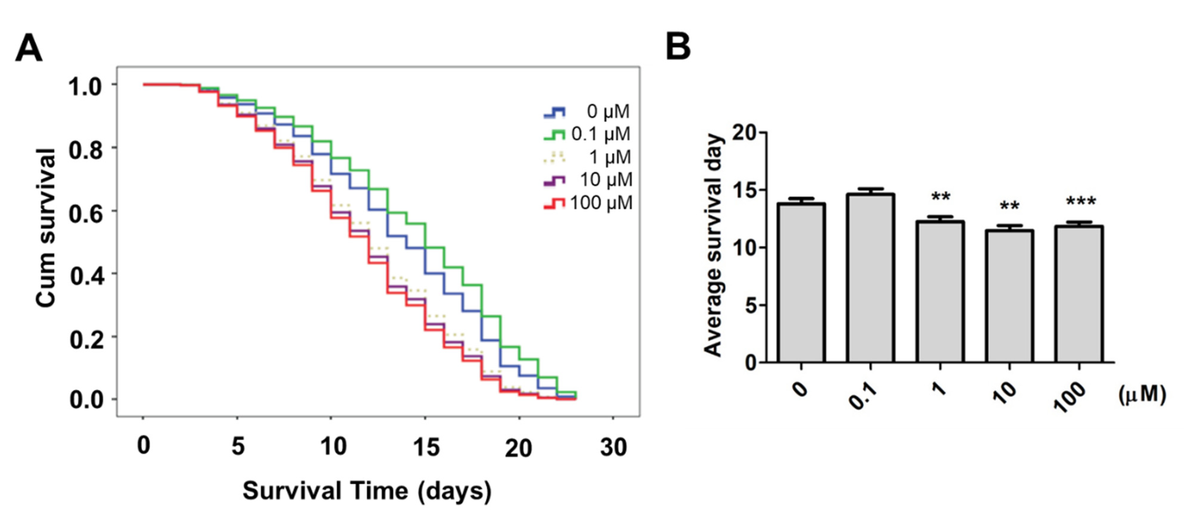 Ijms 22 08917 g006 Ijms 22 08917 g006