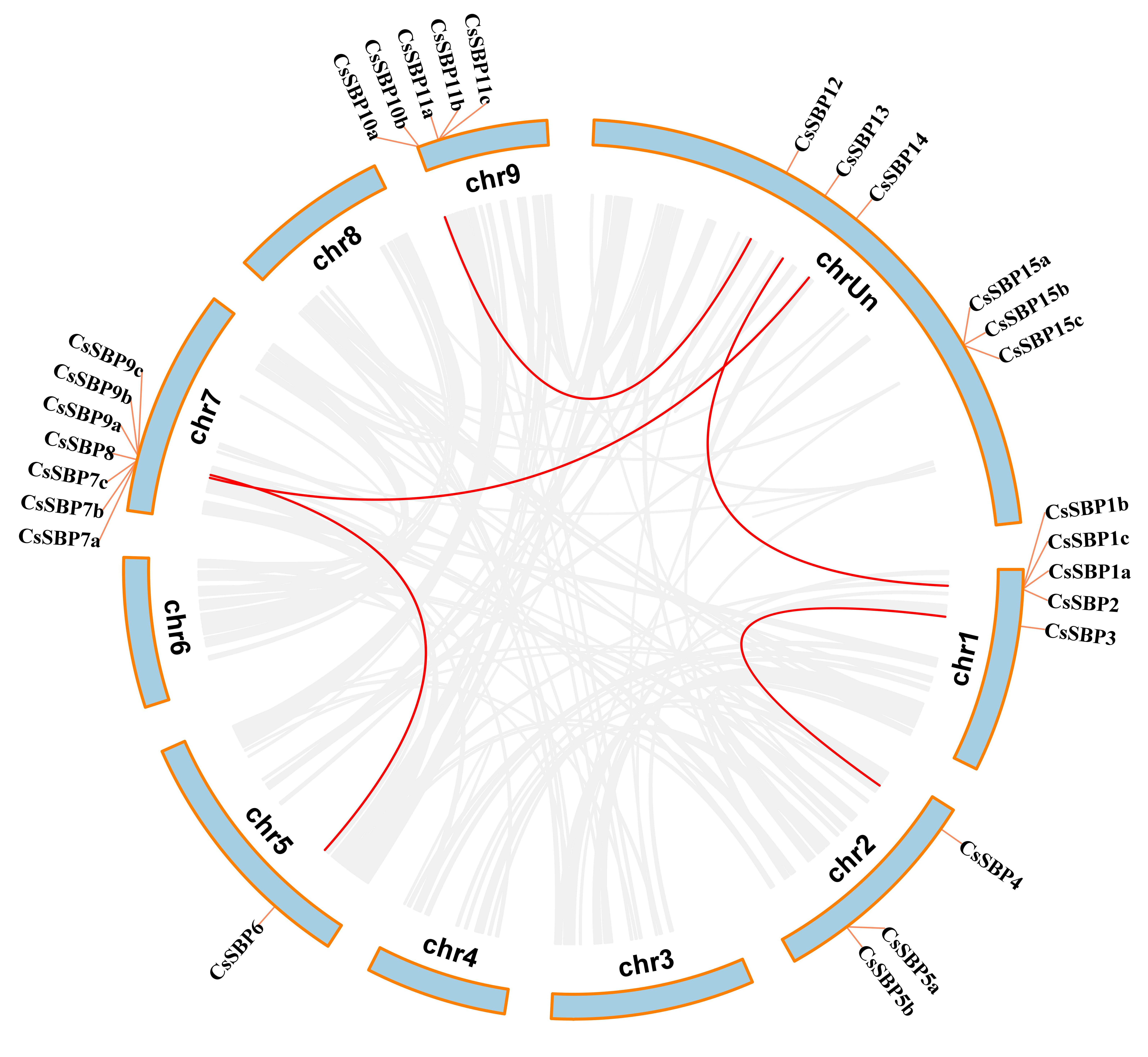 Ijms 22 08918 g003 550