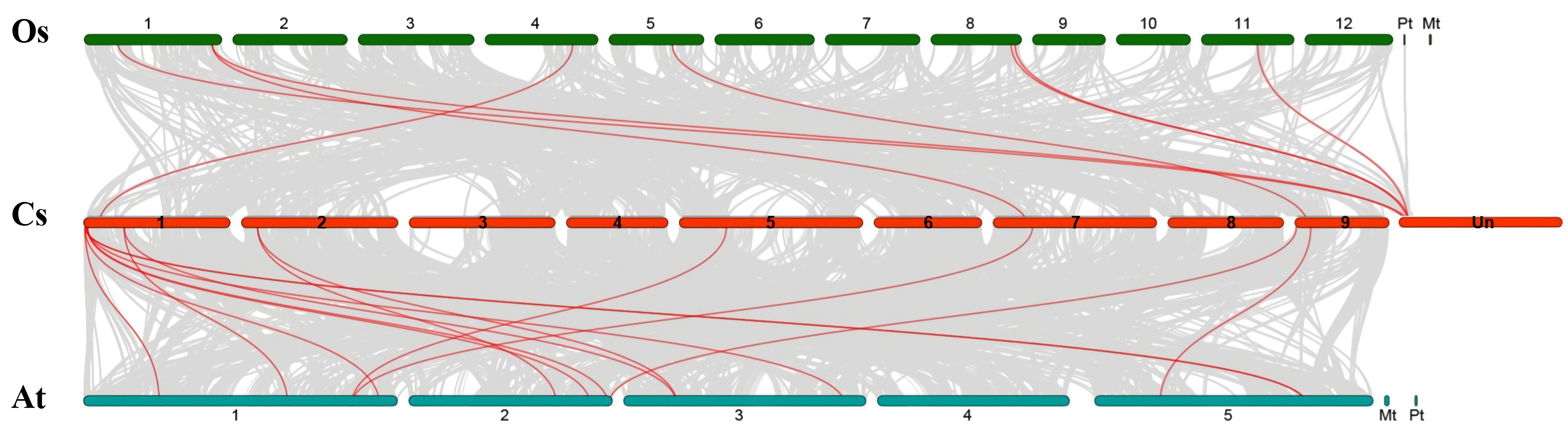 Ijms 22 08918 g004 550