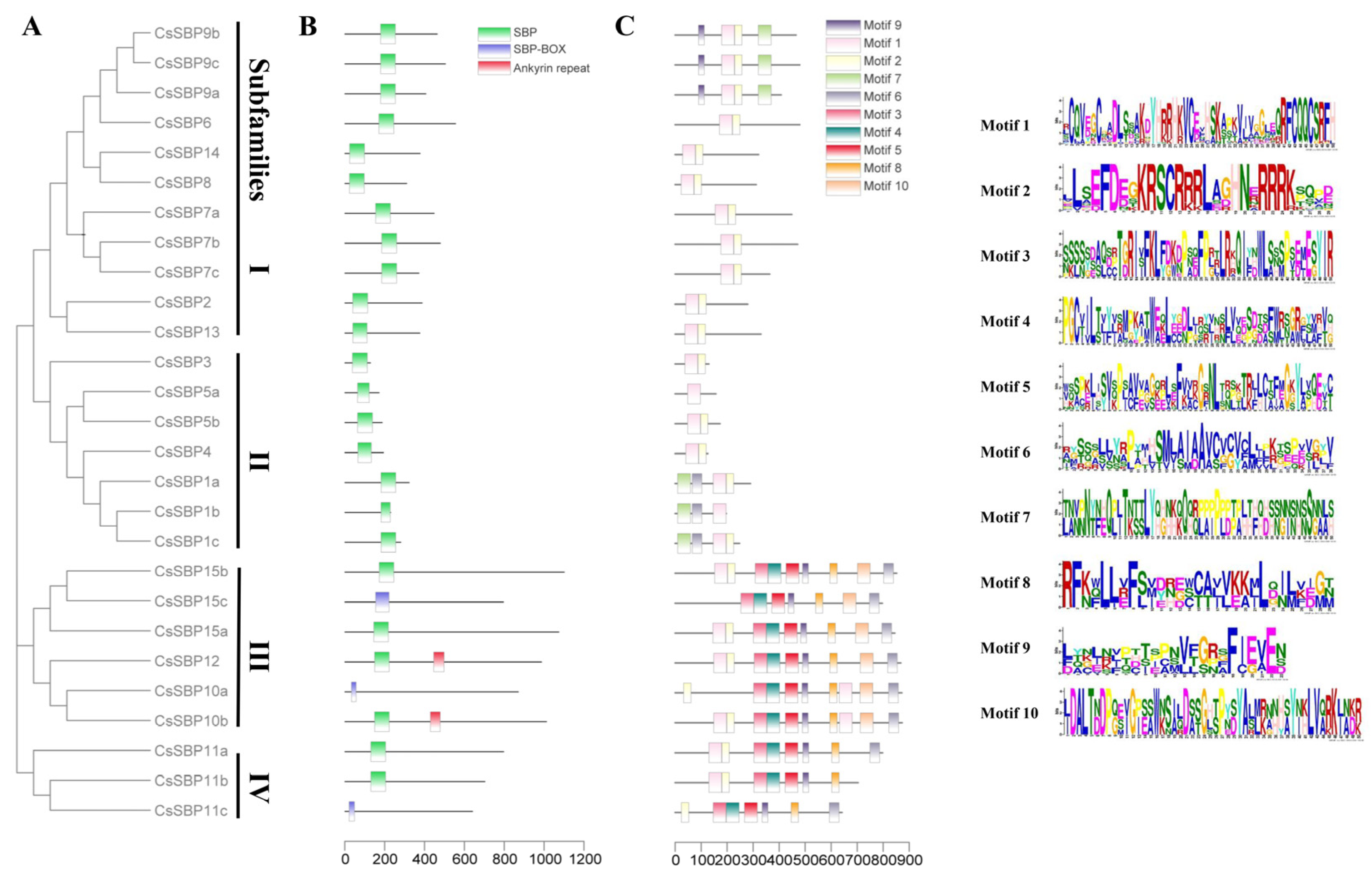 Ijms 22 08918 g005 550