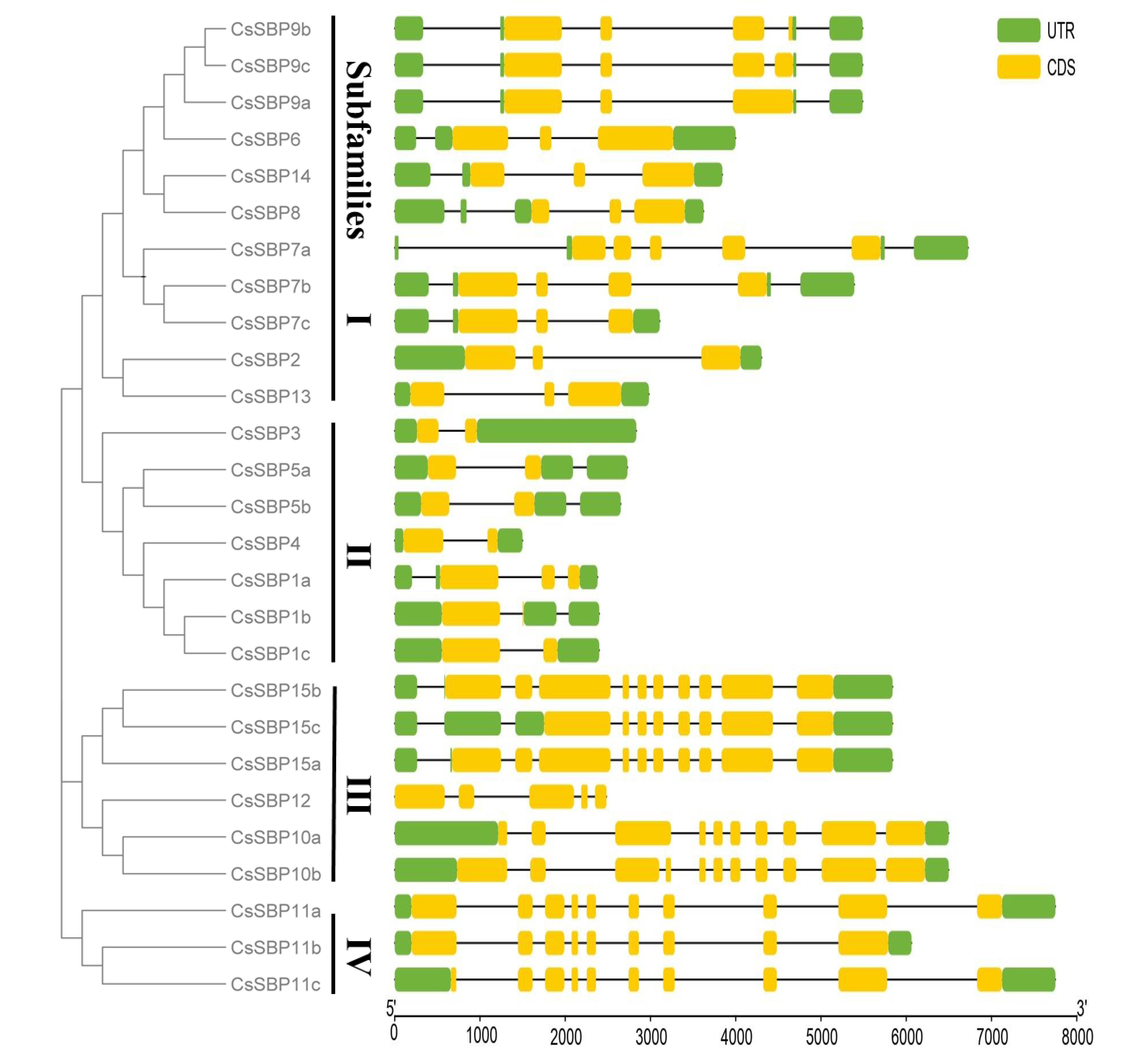 Ijms 22 08918 g006 550
